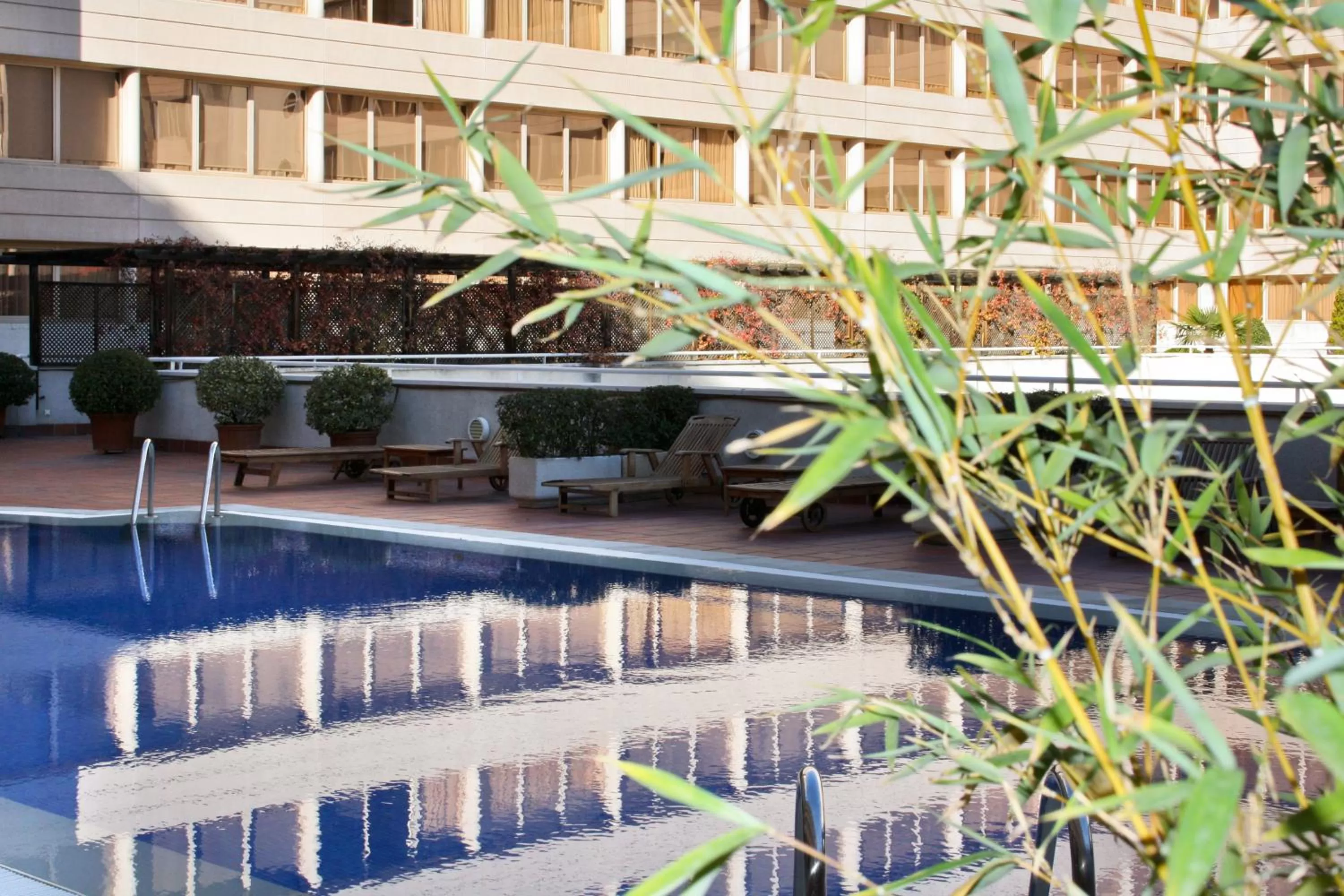 Swimming pool in Pullman Madrid Airport & Feria