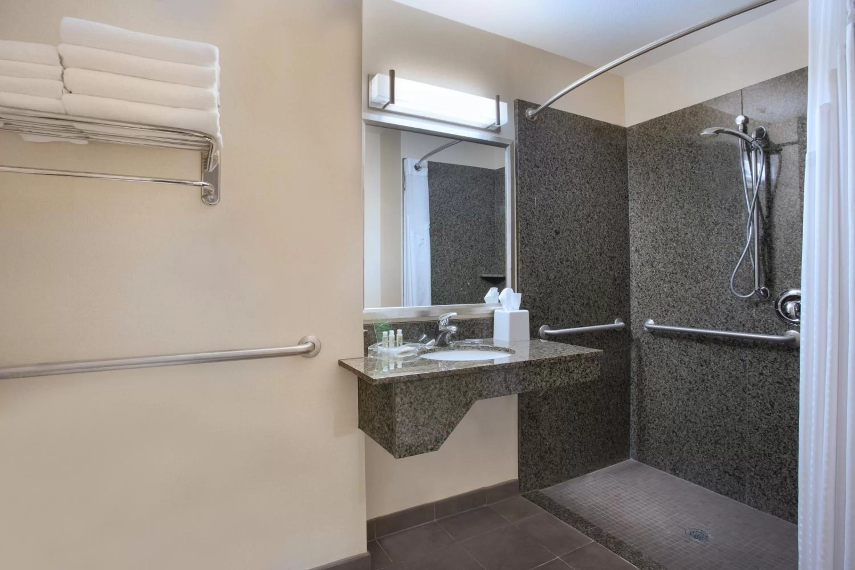 Bathroom in Holiday Inn Scottsdale North- Airpark by IHG