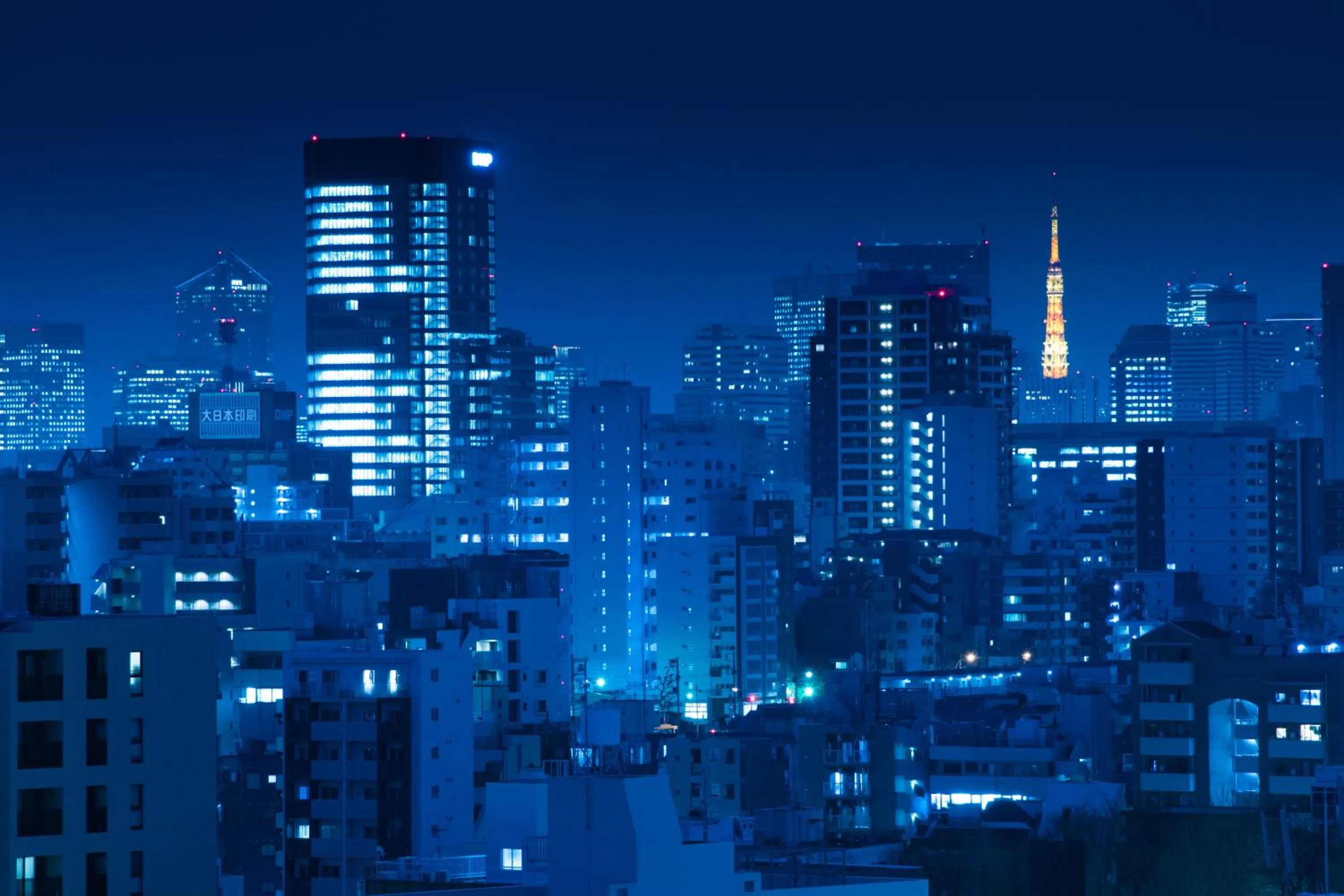 City view in Rihga Royal Hotel Tokyo