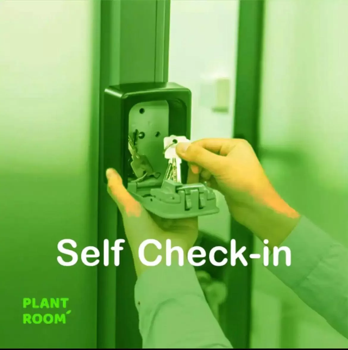 Saale, Marktplatz Zentrum, Apartmenthaus am Dom von Plant Room