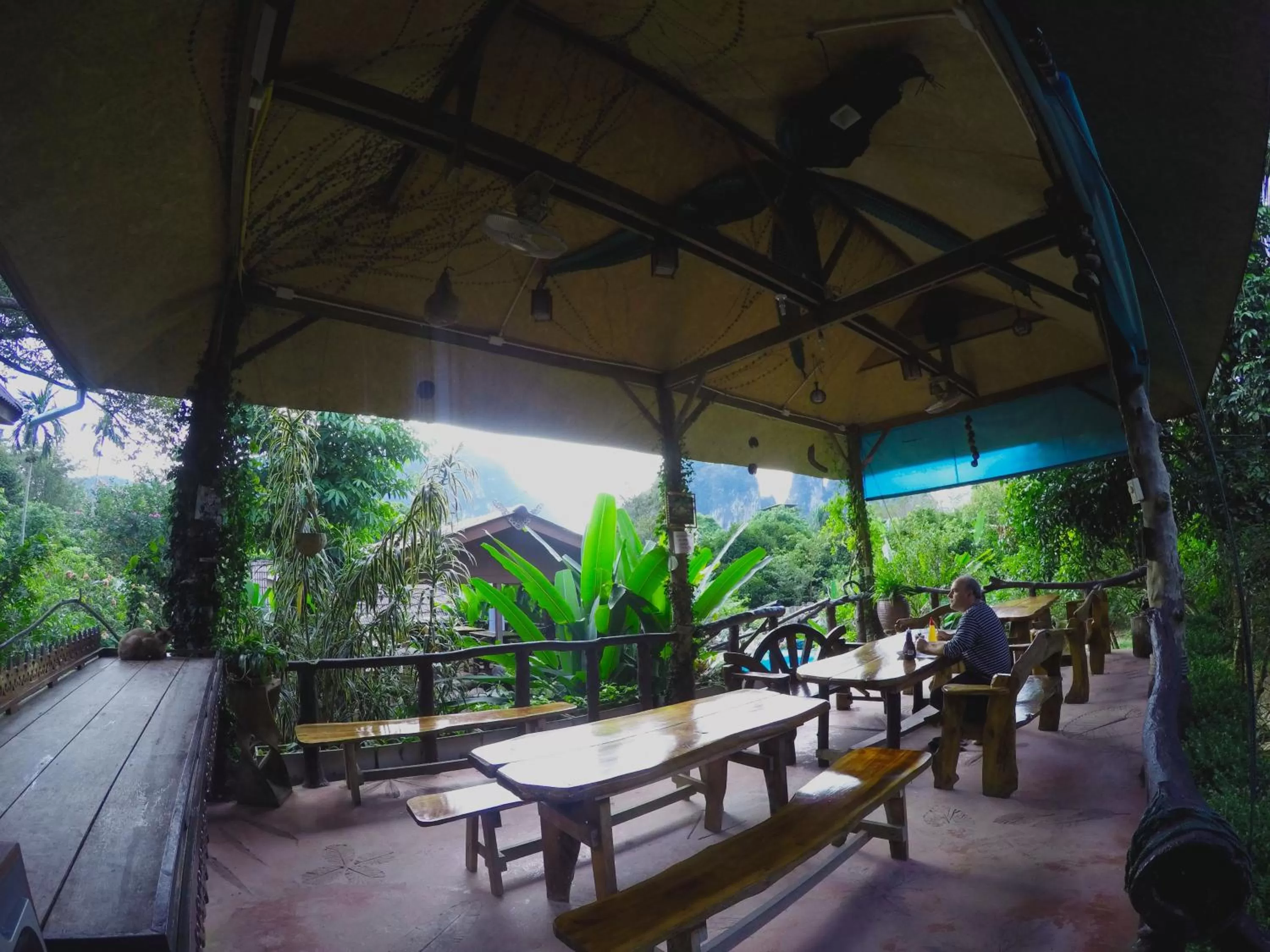 Property building in Khao Sok Morning Mist Resort