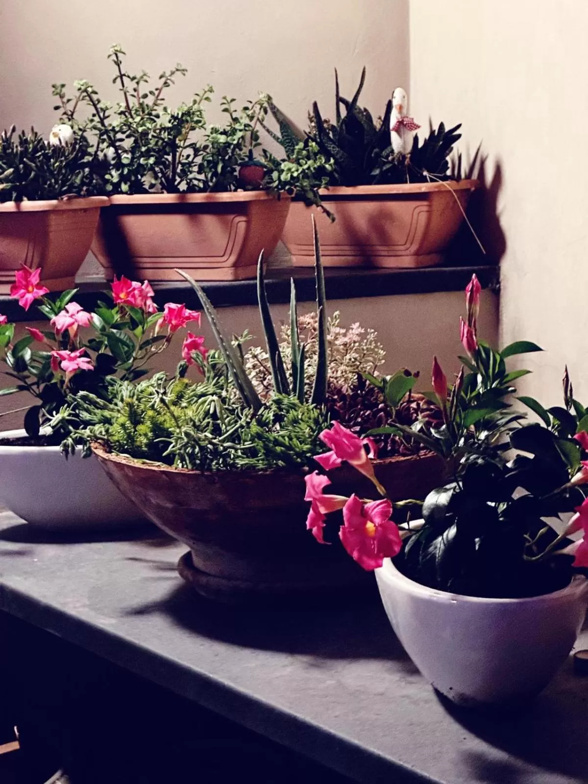 Balcony/Terrace in Borgo Antico B&b