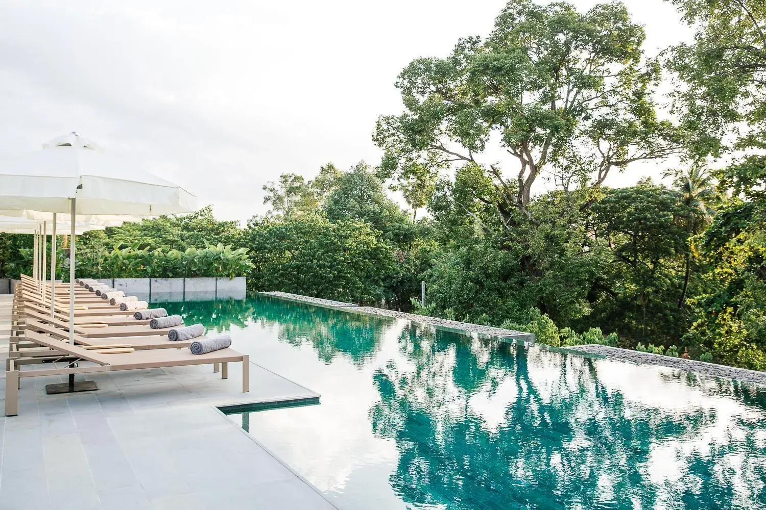 Treeline Urban Resort Treeline Urban Resort