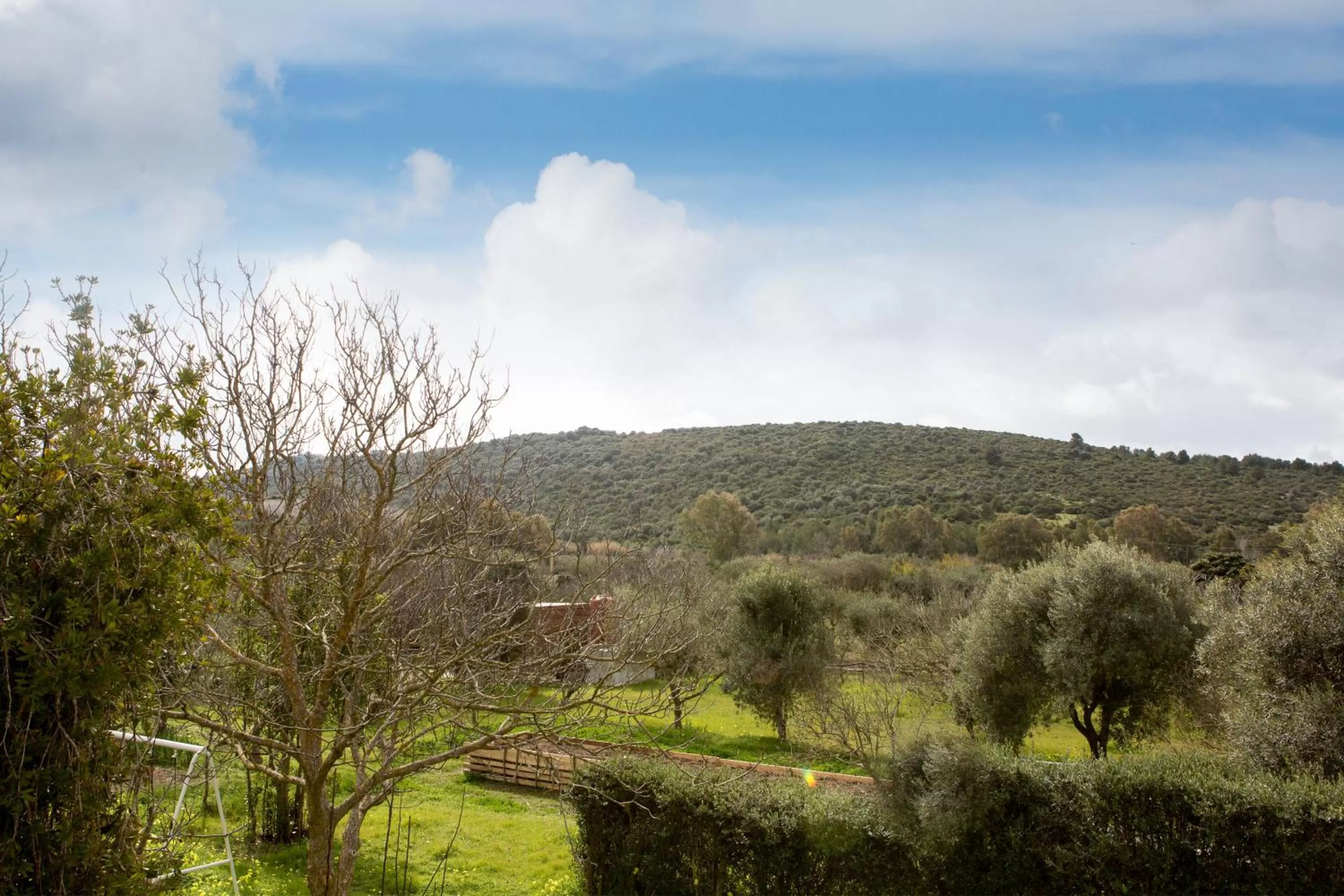 Natural landscape in Alghero in bicicletta