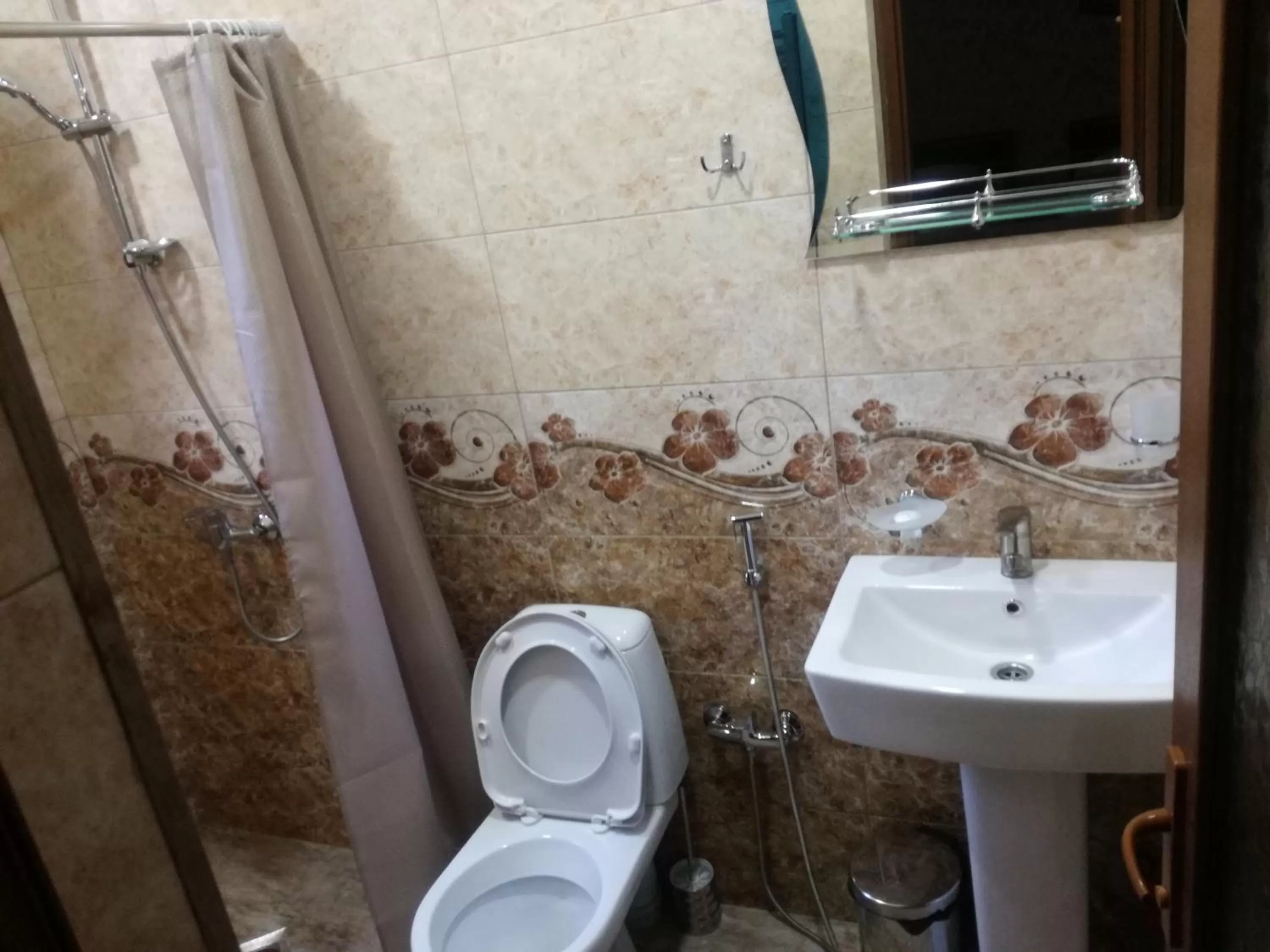 Bathroom in Guest House Kakheti
