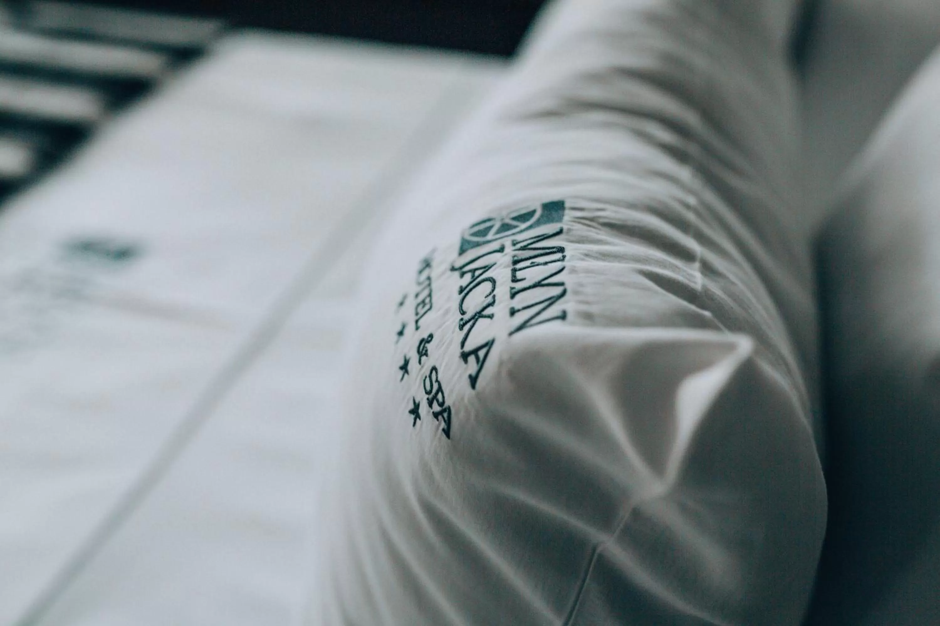 Bed in Młyn Jacka Hotel & Spa