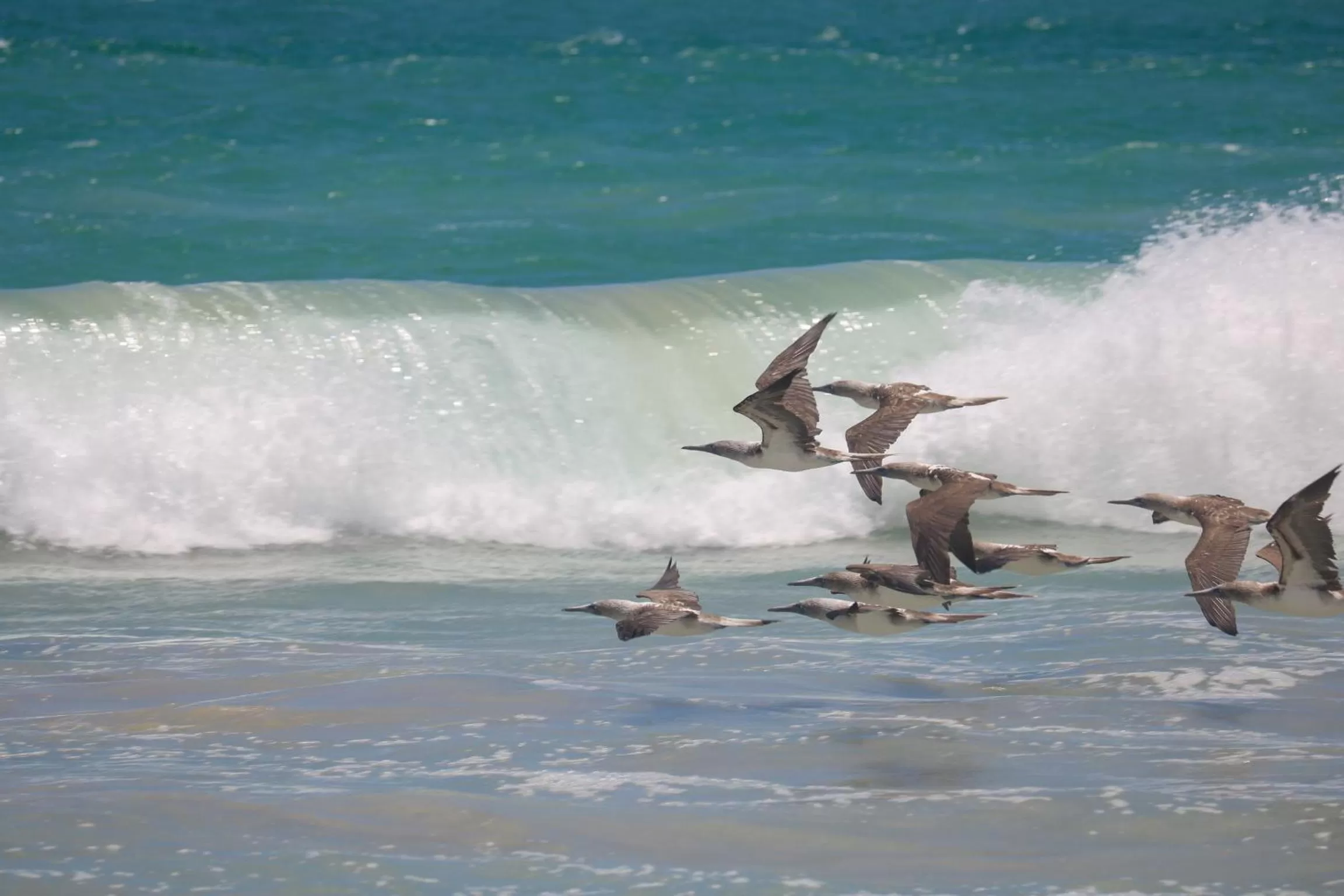 Natural landscape, Other Activities in Hostal Galapagos by Bar de Beto