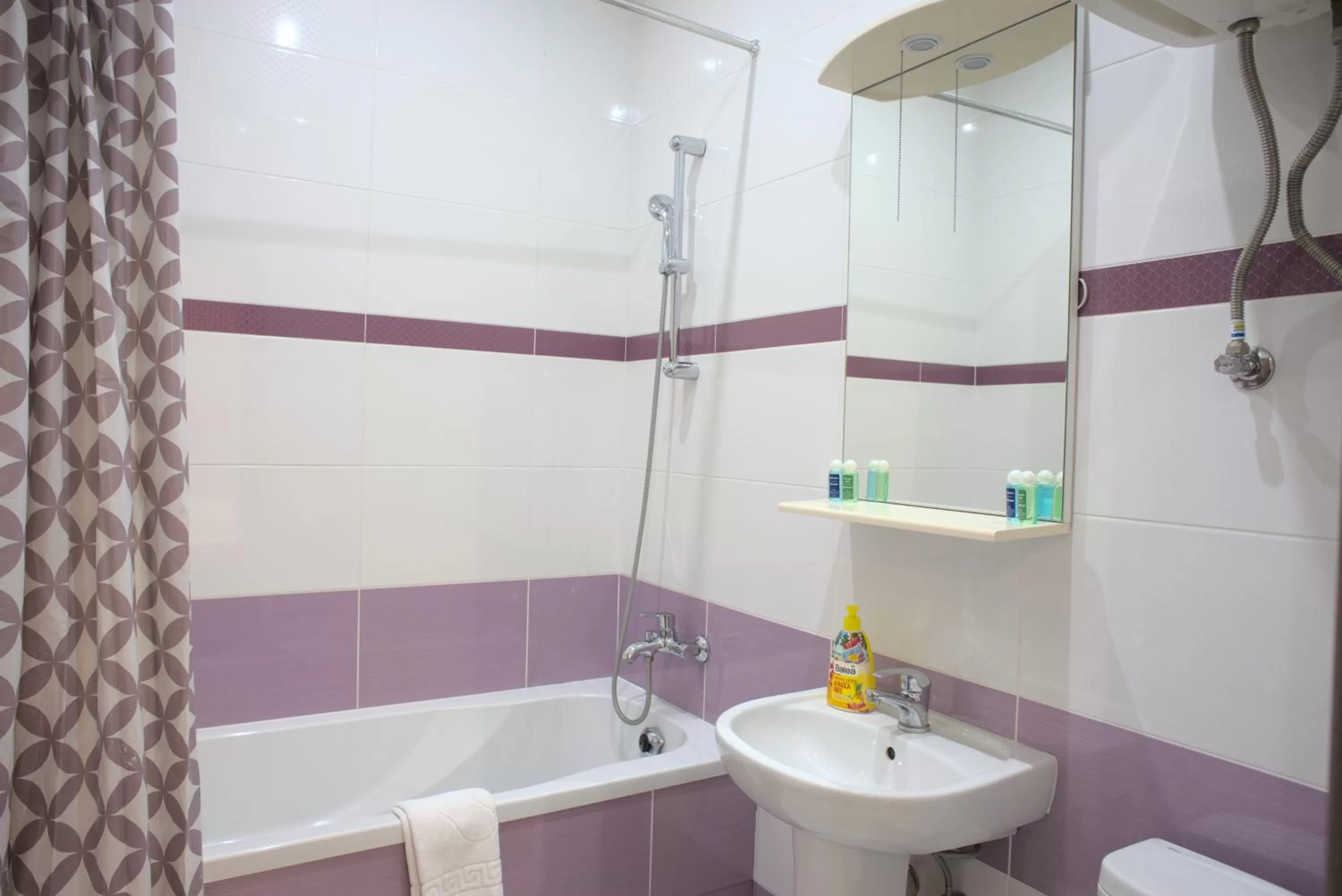 Bathroom in The apartments