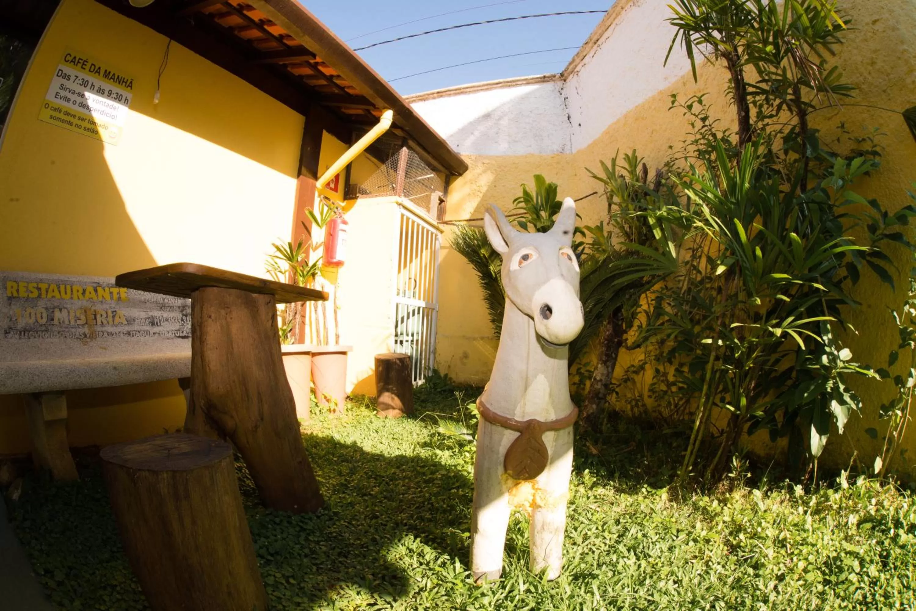 Animals in Pousada Viva Ubatuba