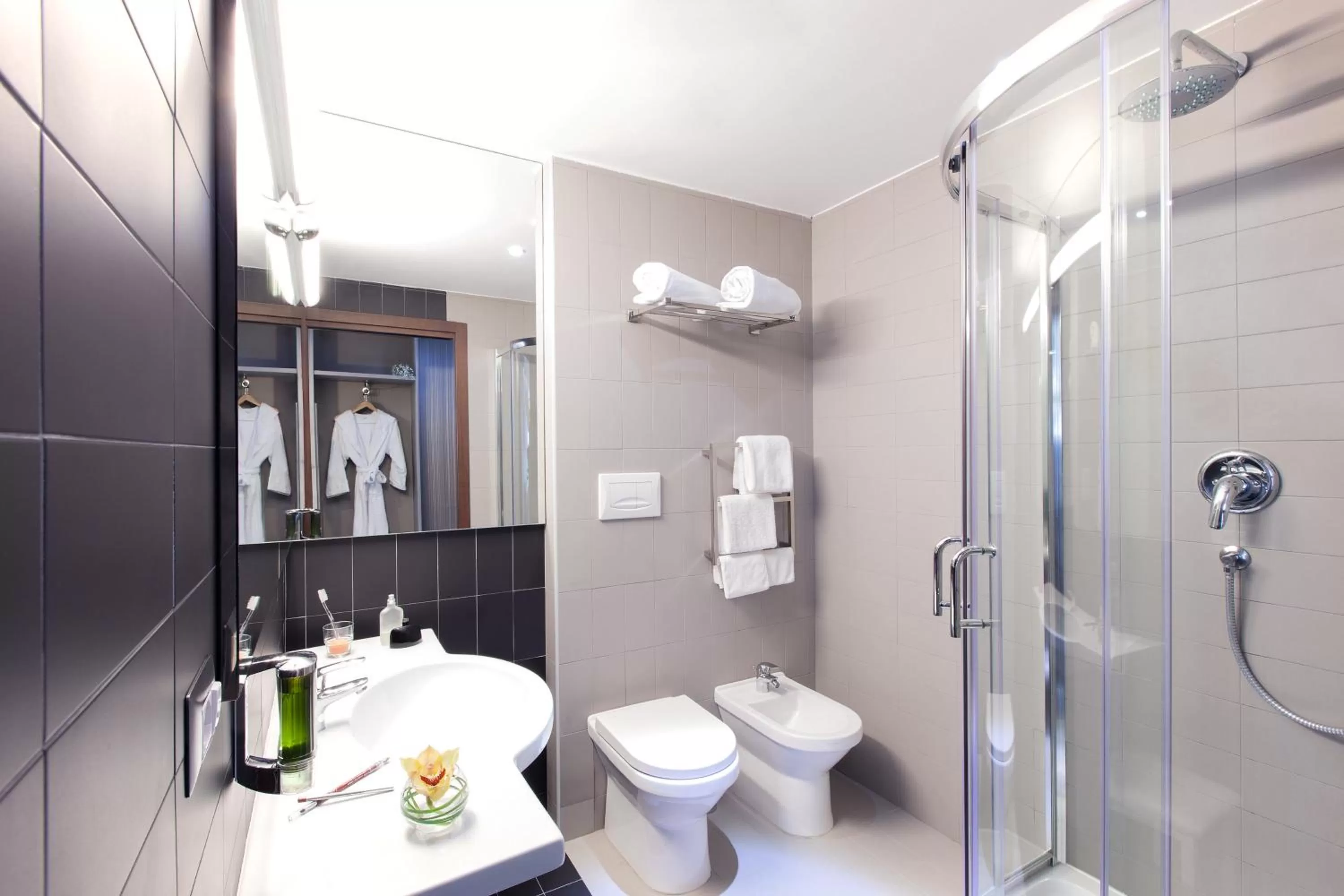 Toilet in Ibis Styles Roma Eur