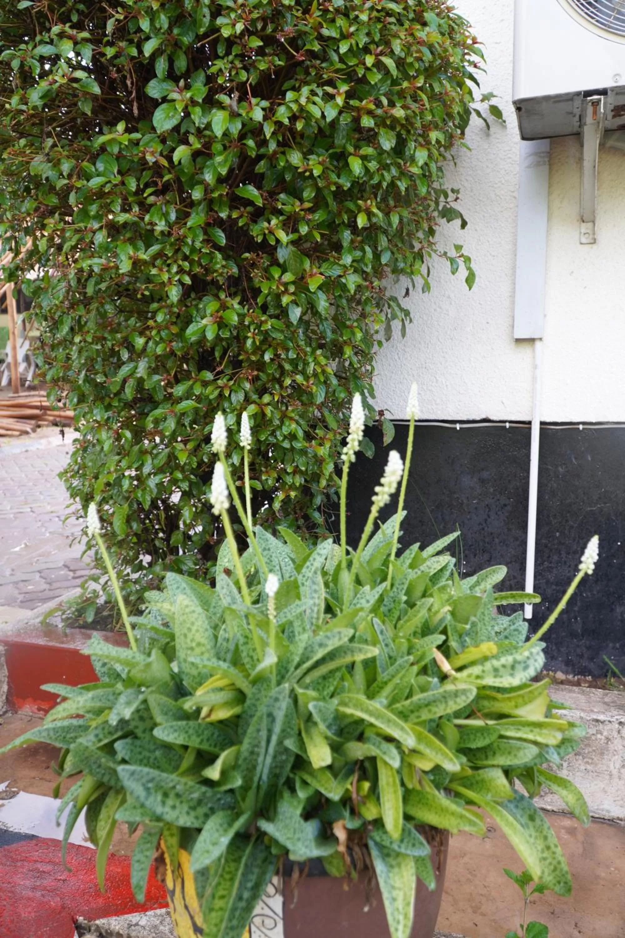 L&J Modern Backpackers Kinondoni