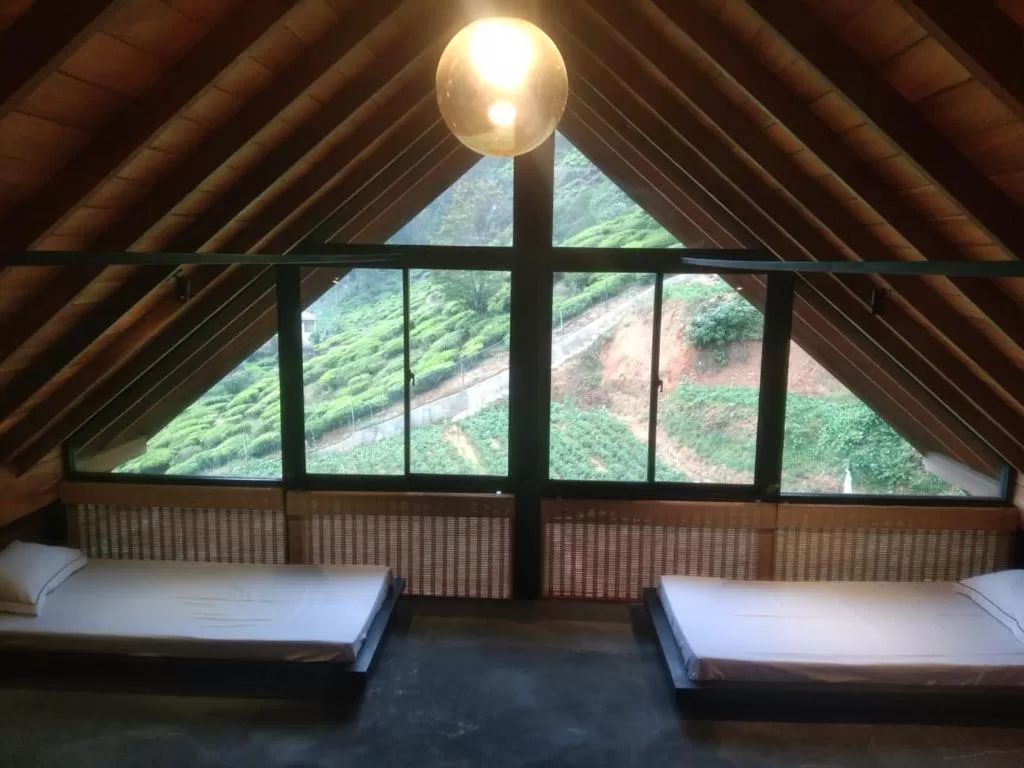 Photo of the whole room in Manuka Hillwood Hotel