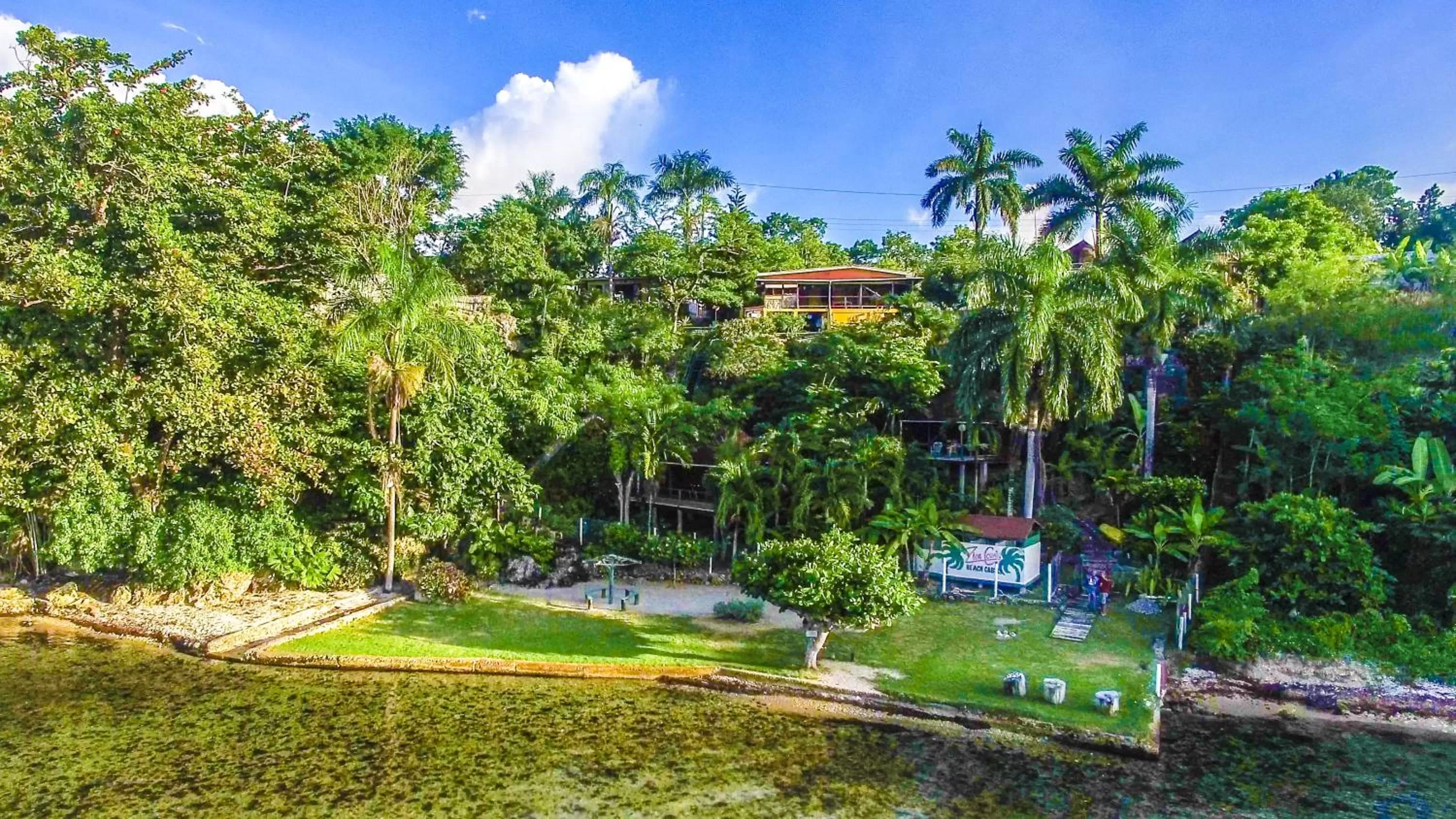 Bird's eye view in Zion Country