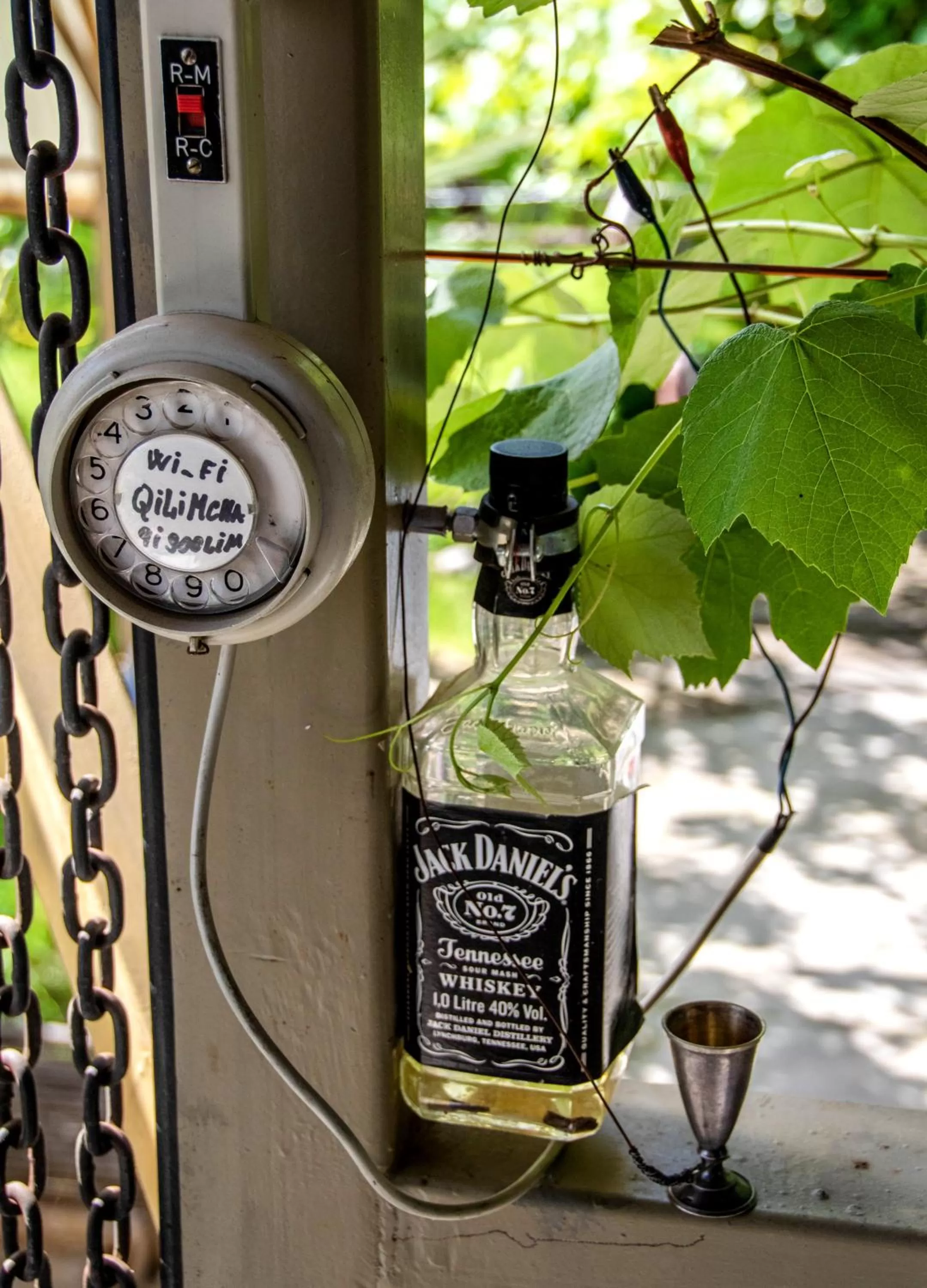 Drinks in Qilimcha's Guesthouse