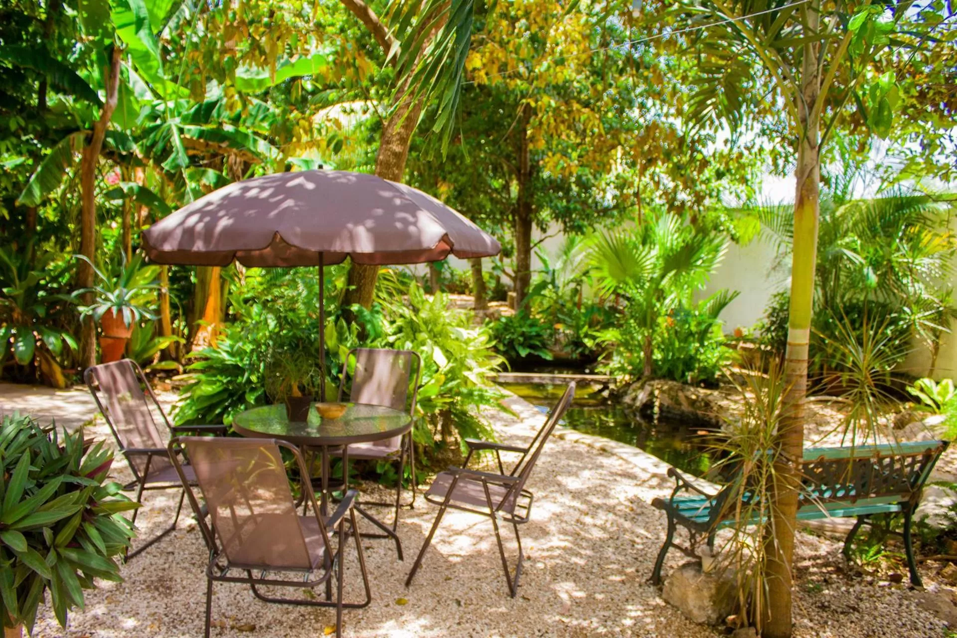 Patio in Casa De Los Pájaros - B&B