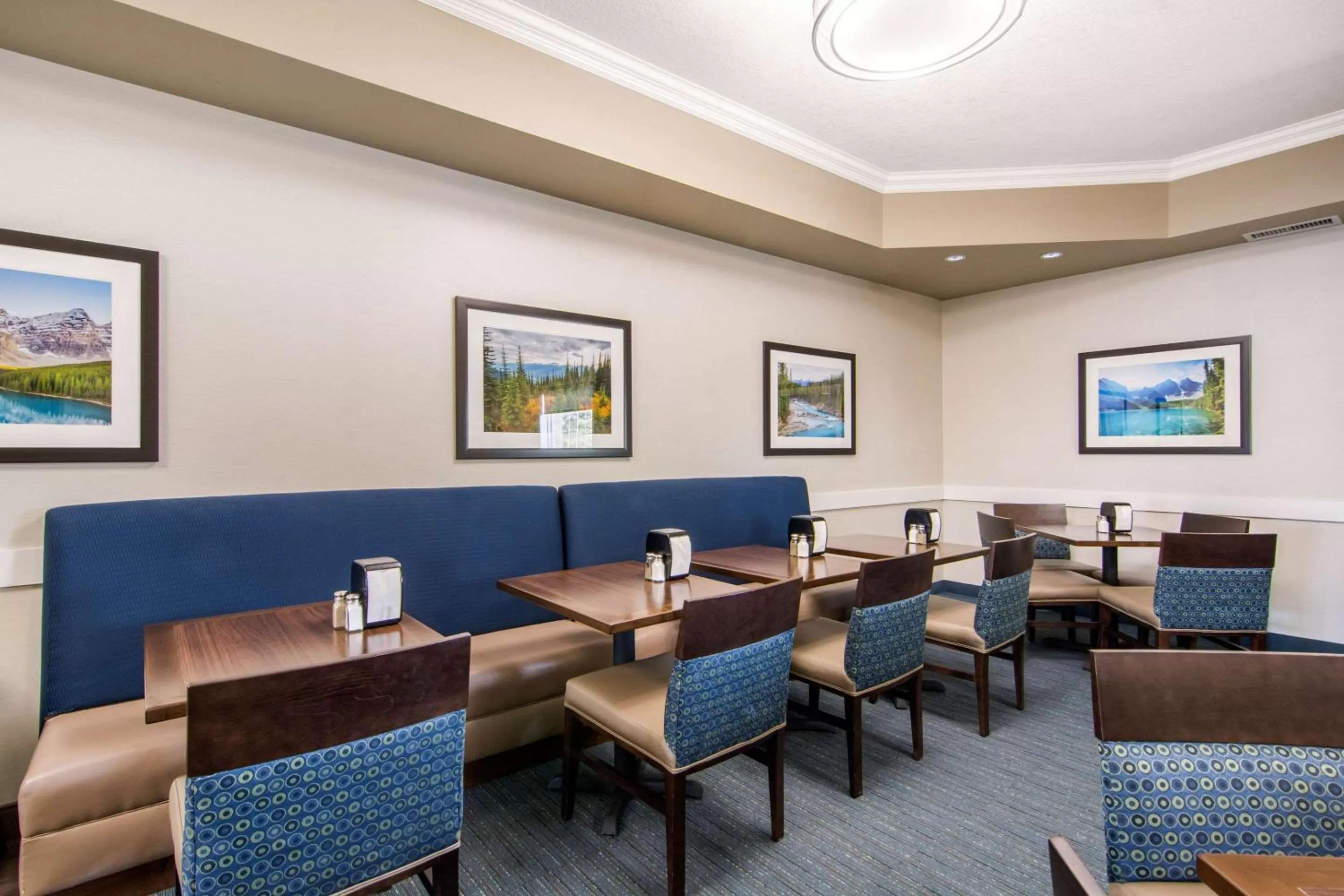 Restaurant/places to eat in Comfort Inn & Suites