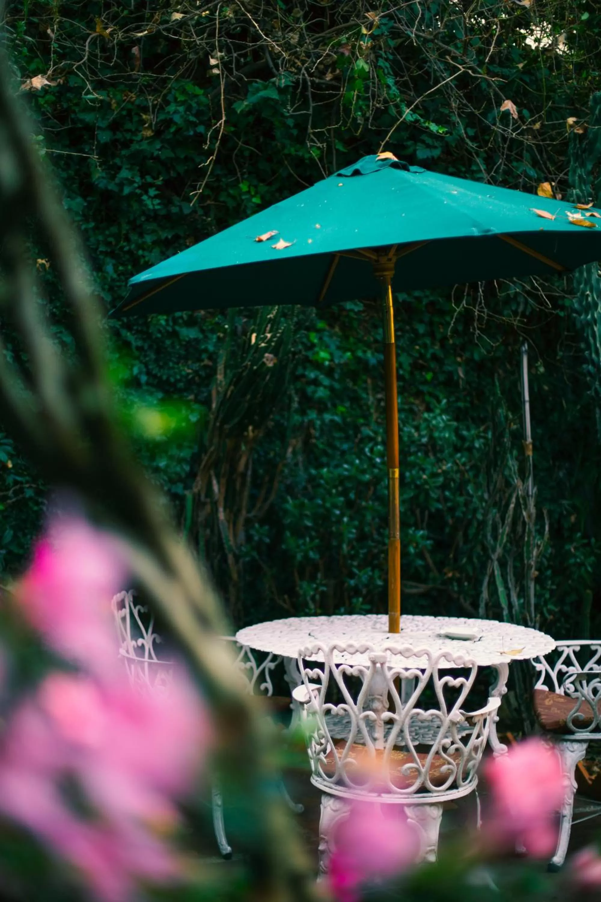 Garden in Casa Jacinta Guest House