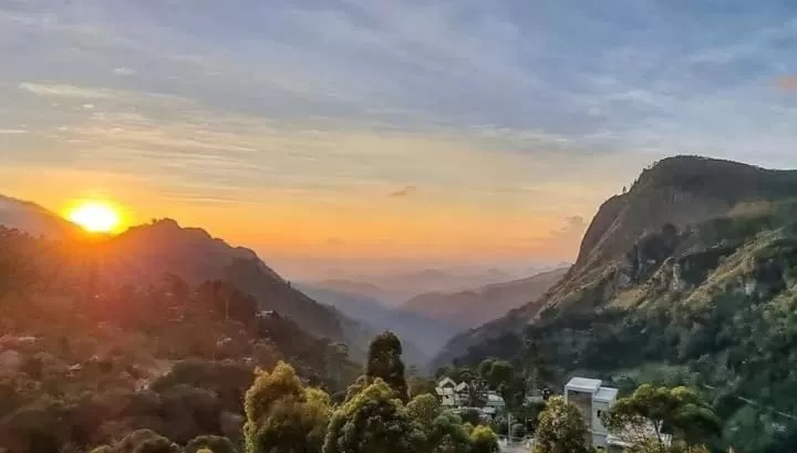 Ella Lucky Panoramic