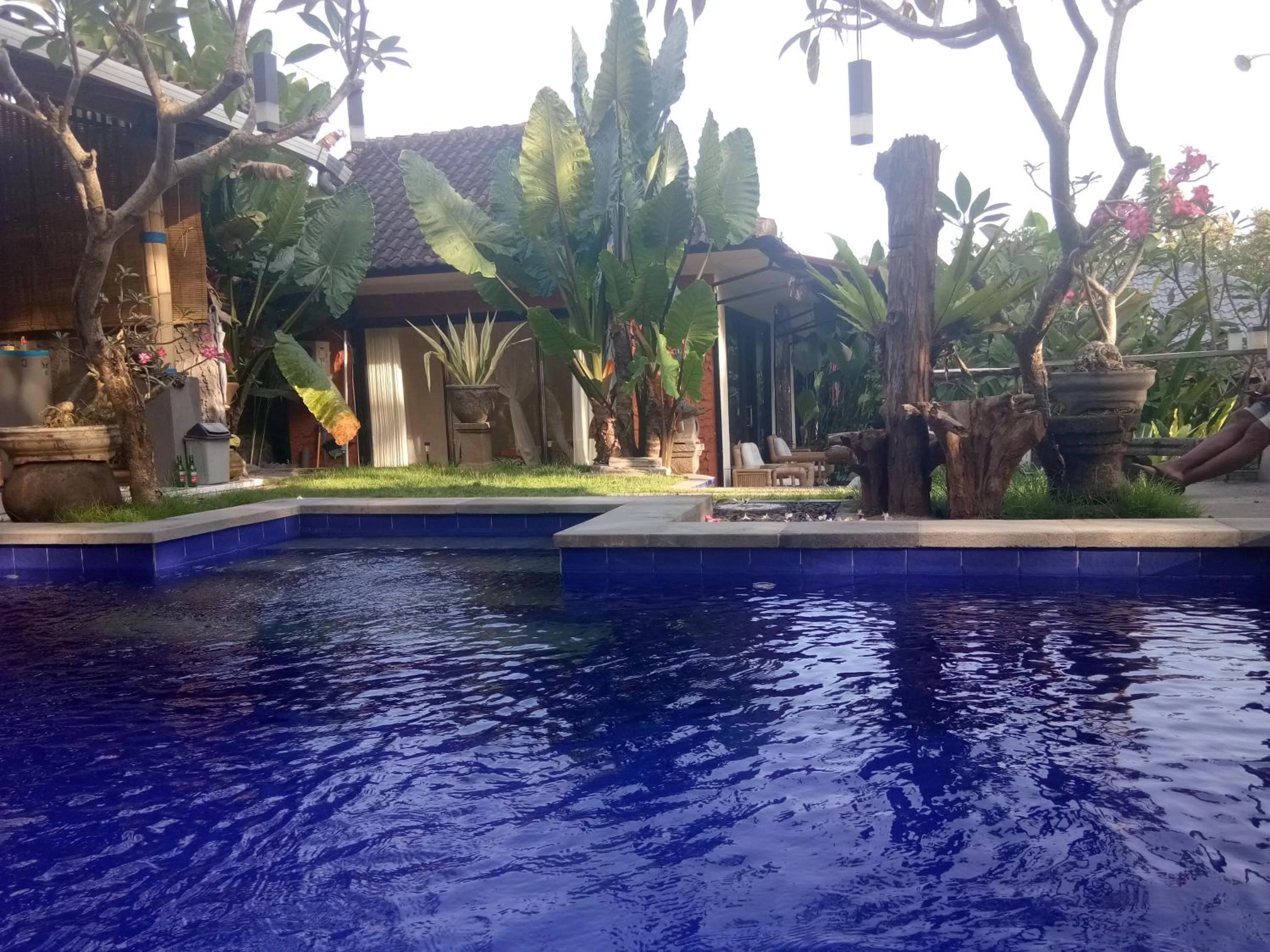 Swimming Pool in Kerta Family Bed and Breakfast