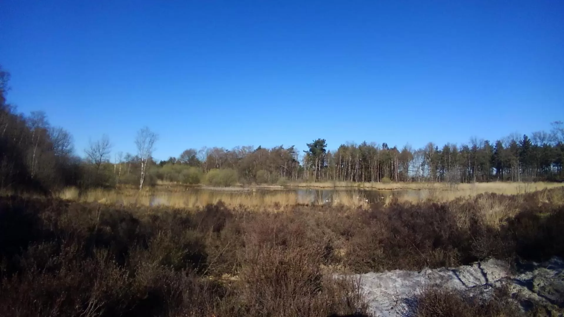 Natural landscape in B&B In de Wei