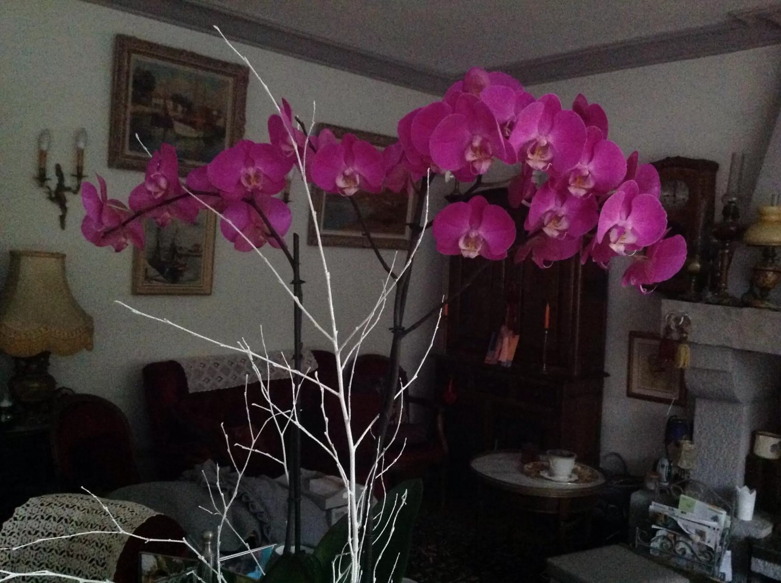 Other in La Demeure aux Hortensias