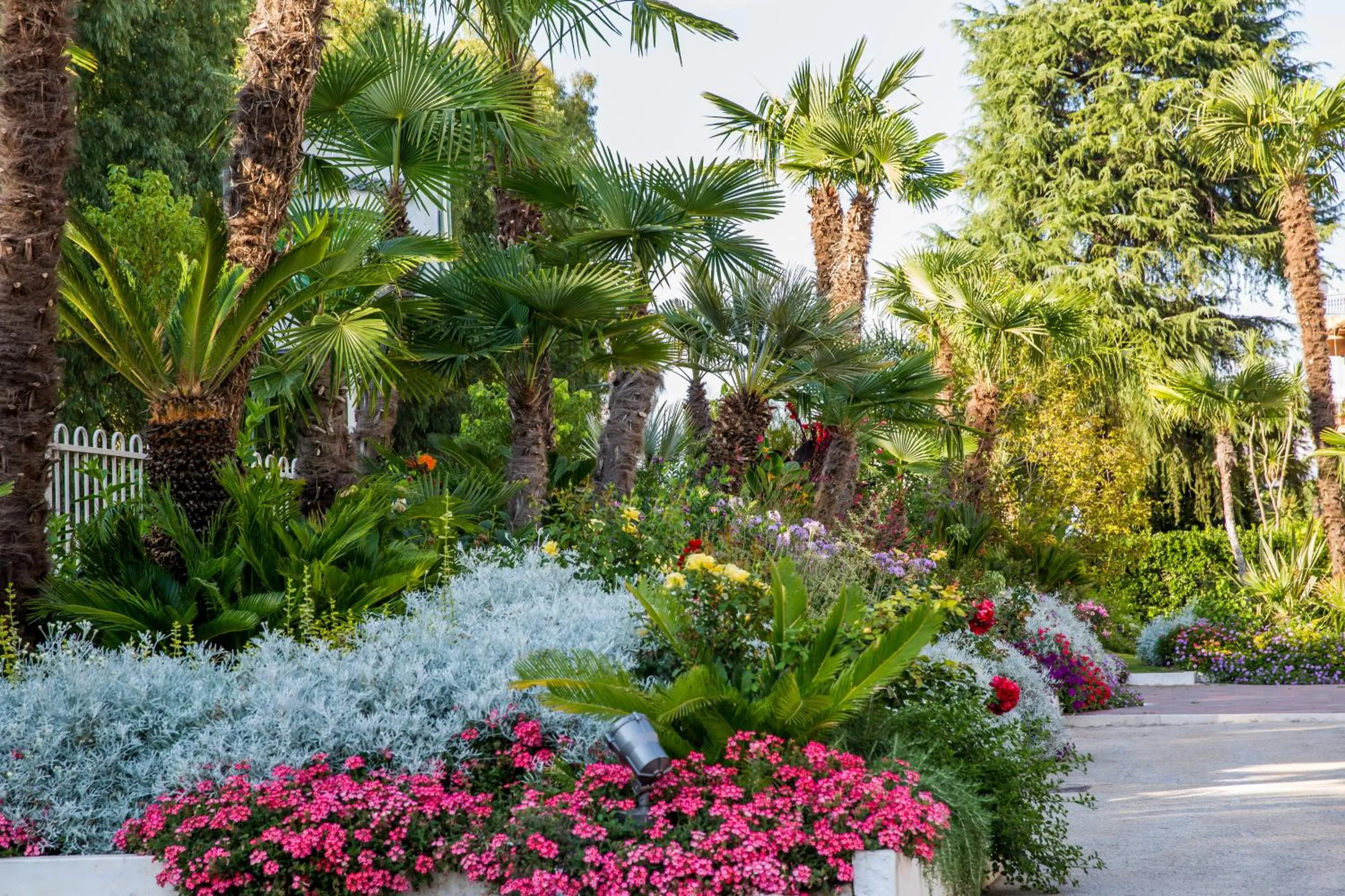 Garden in Hotel Ares