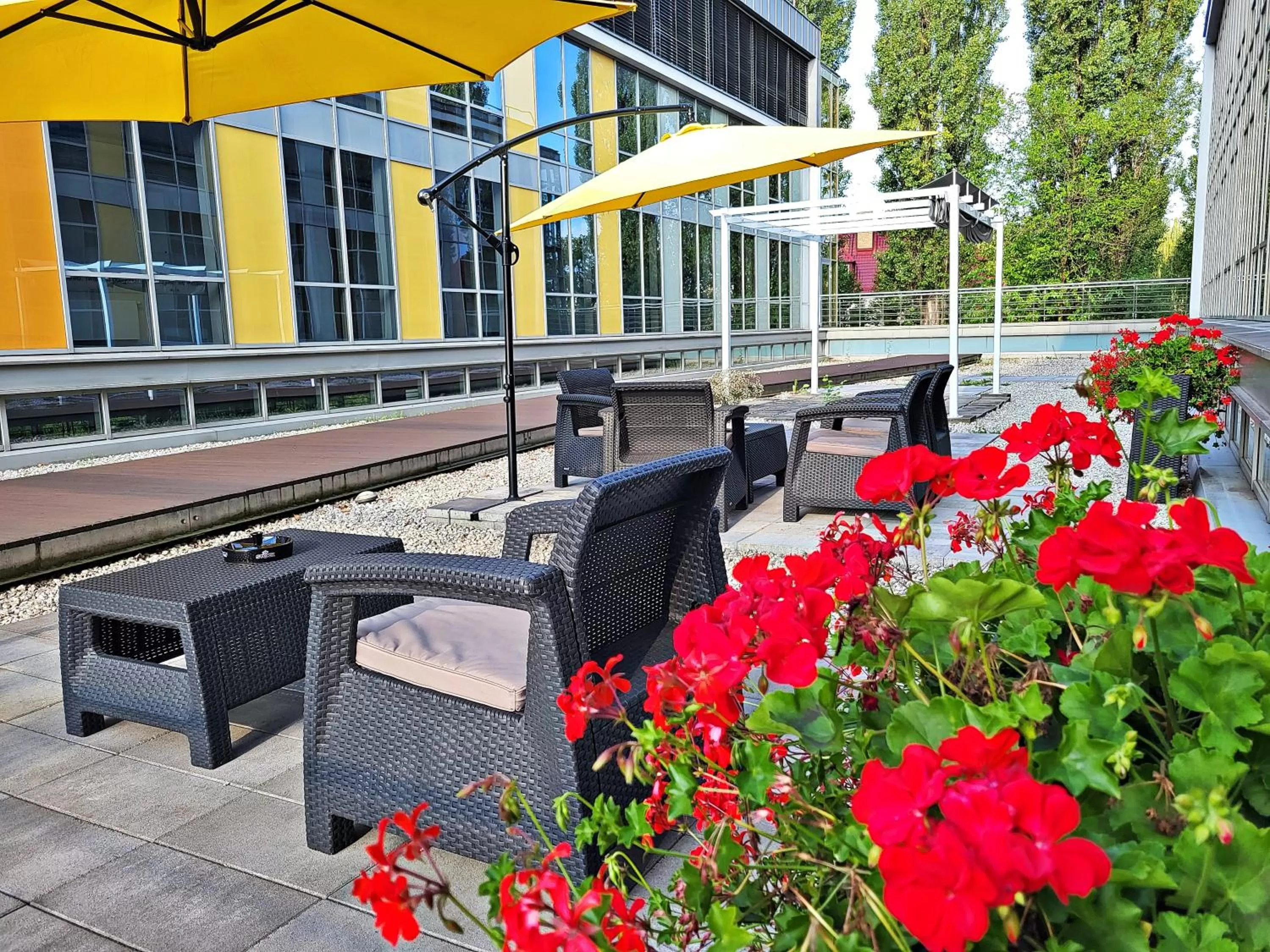 Patio in Hotel Forza
