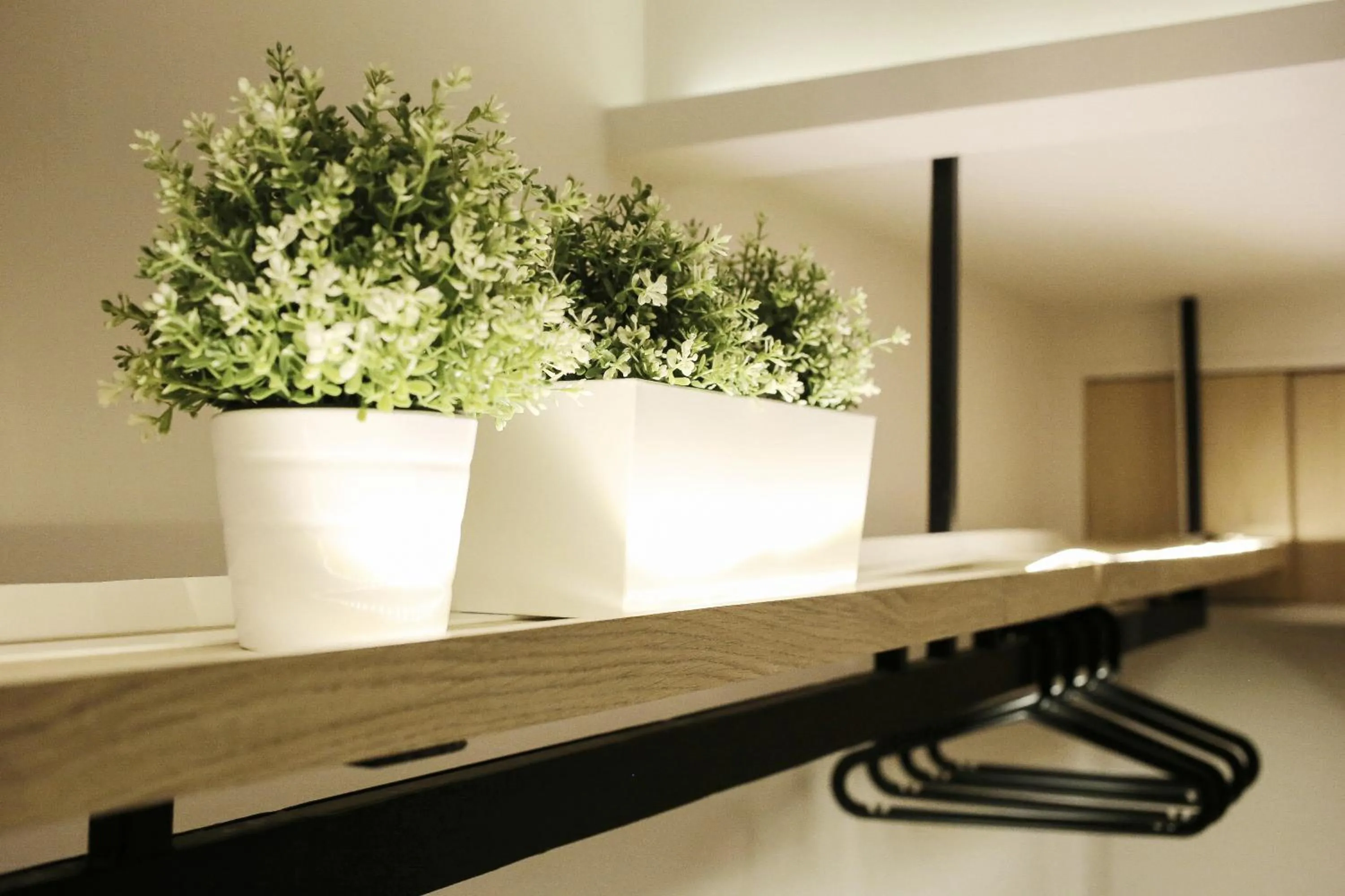 Decorative detail in Snoozz Hotel Krabi