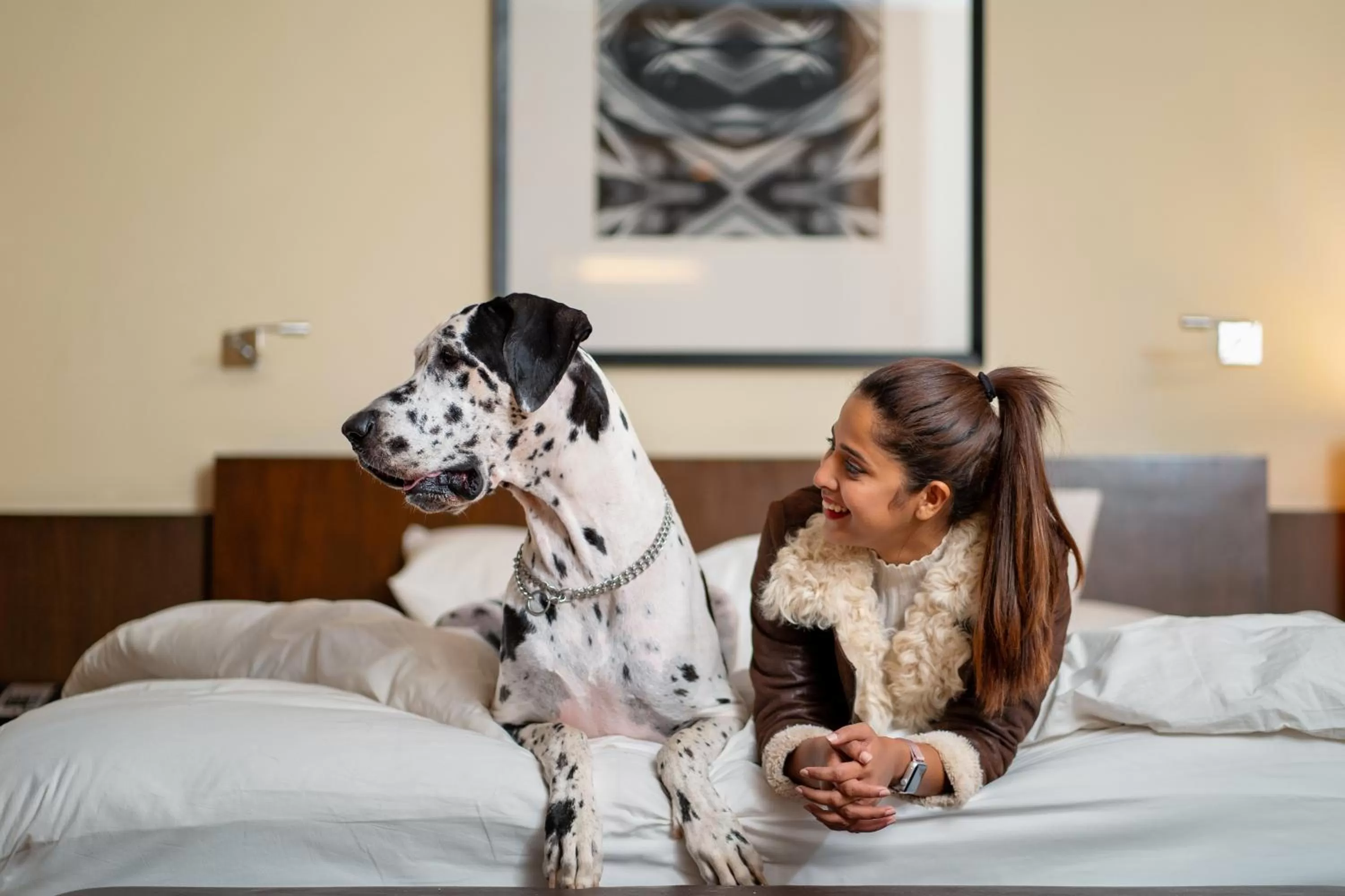 Pets, Bed in Hyatt Hyderabad Gachibowli