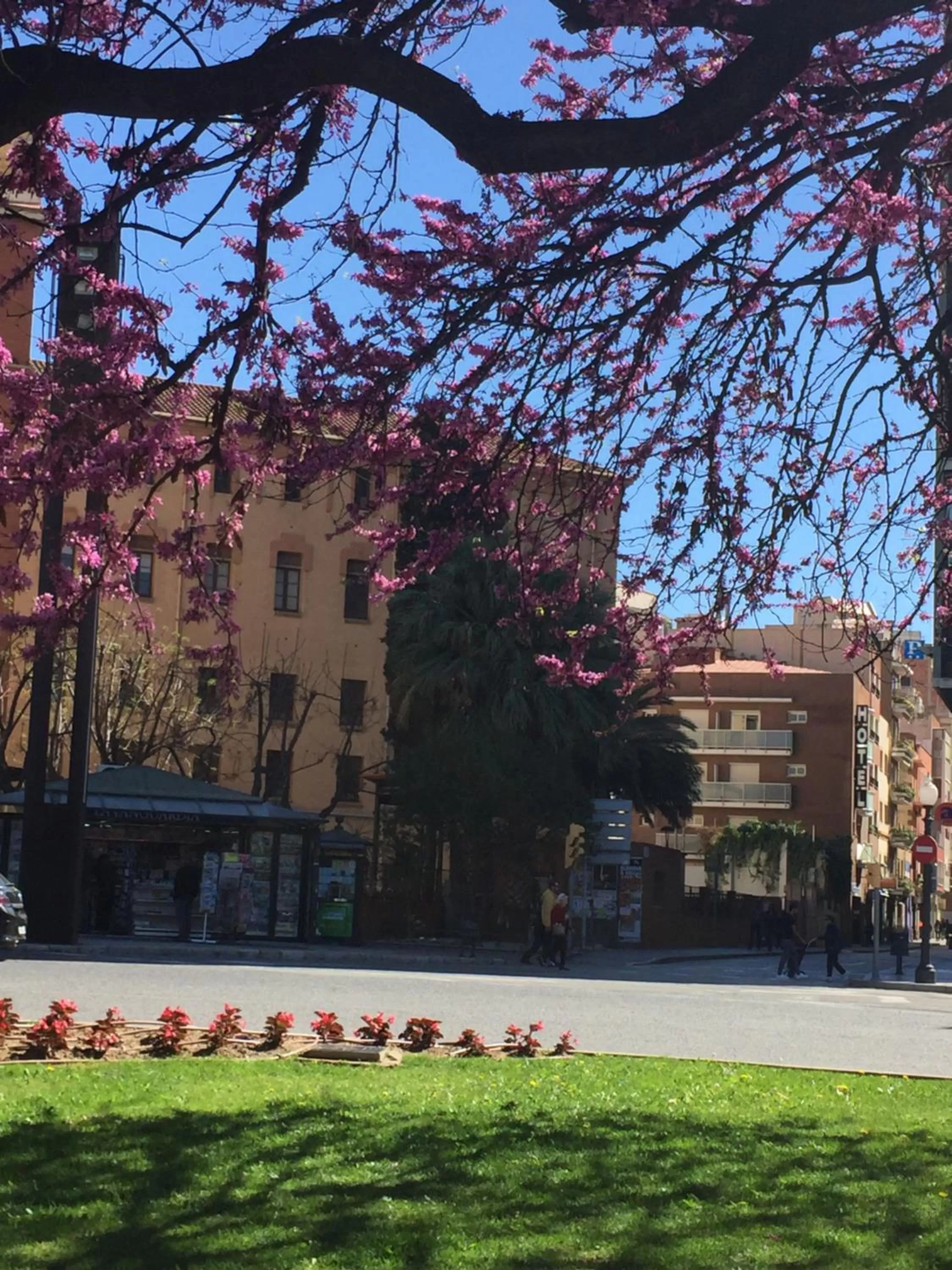 Property building in Hotel Cosmos Tarragona