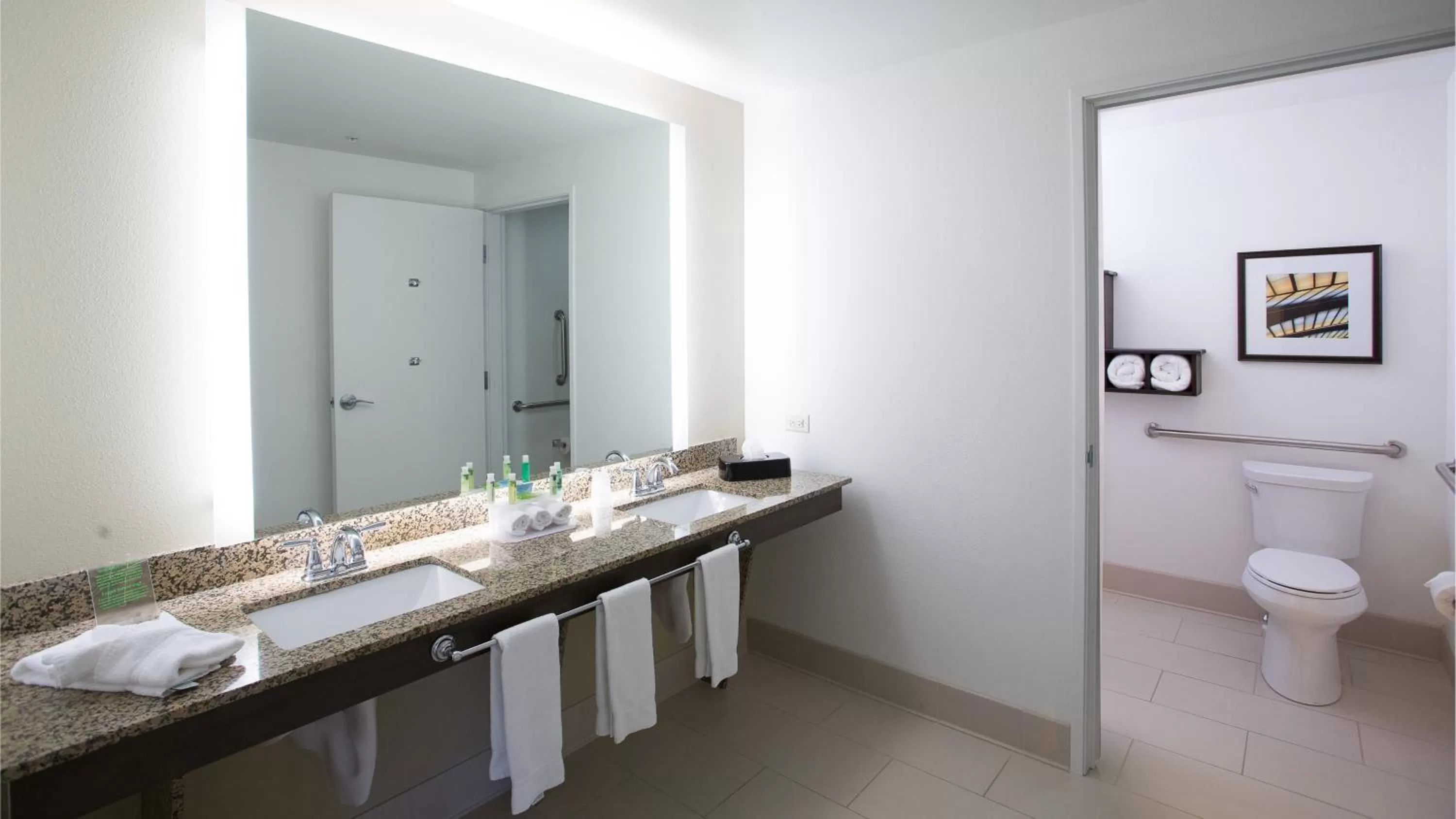 Bathroom in Holiday Inn Express Pocatello by IHG