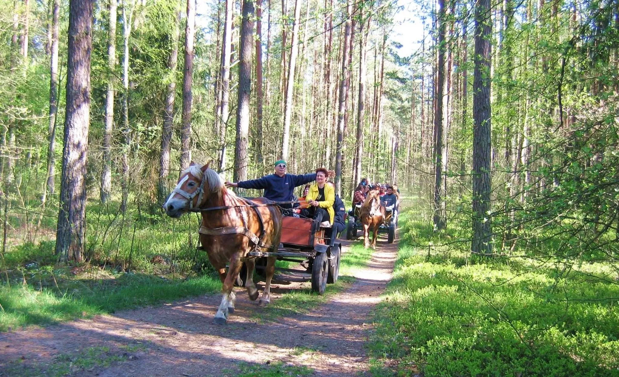 People, Horseback Riding in Villa Skomanda