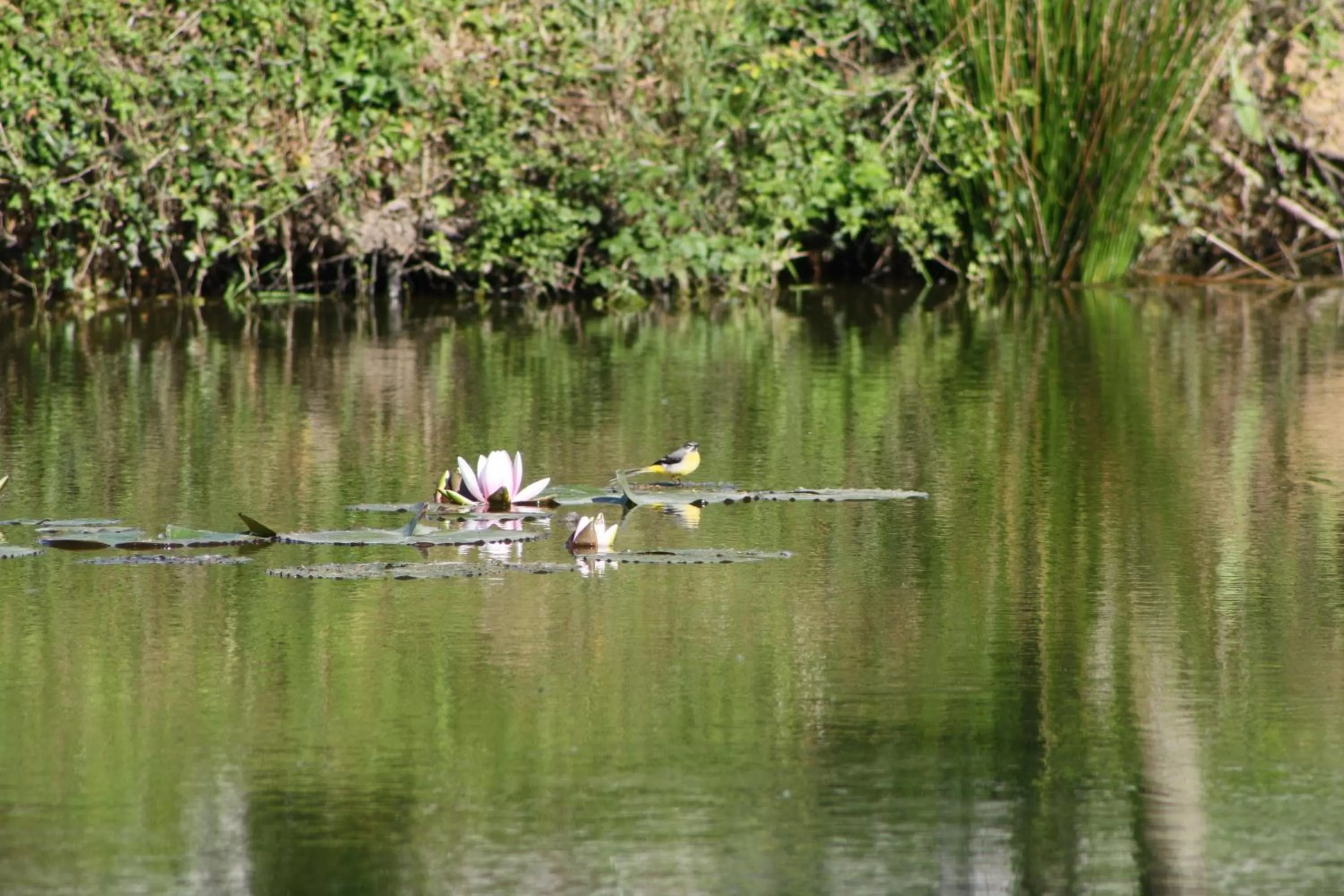 Facade/entrance in Chambres et Table d'Hôtes Les Machetières