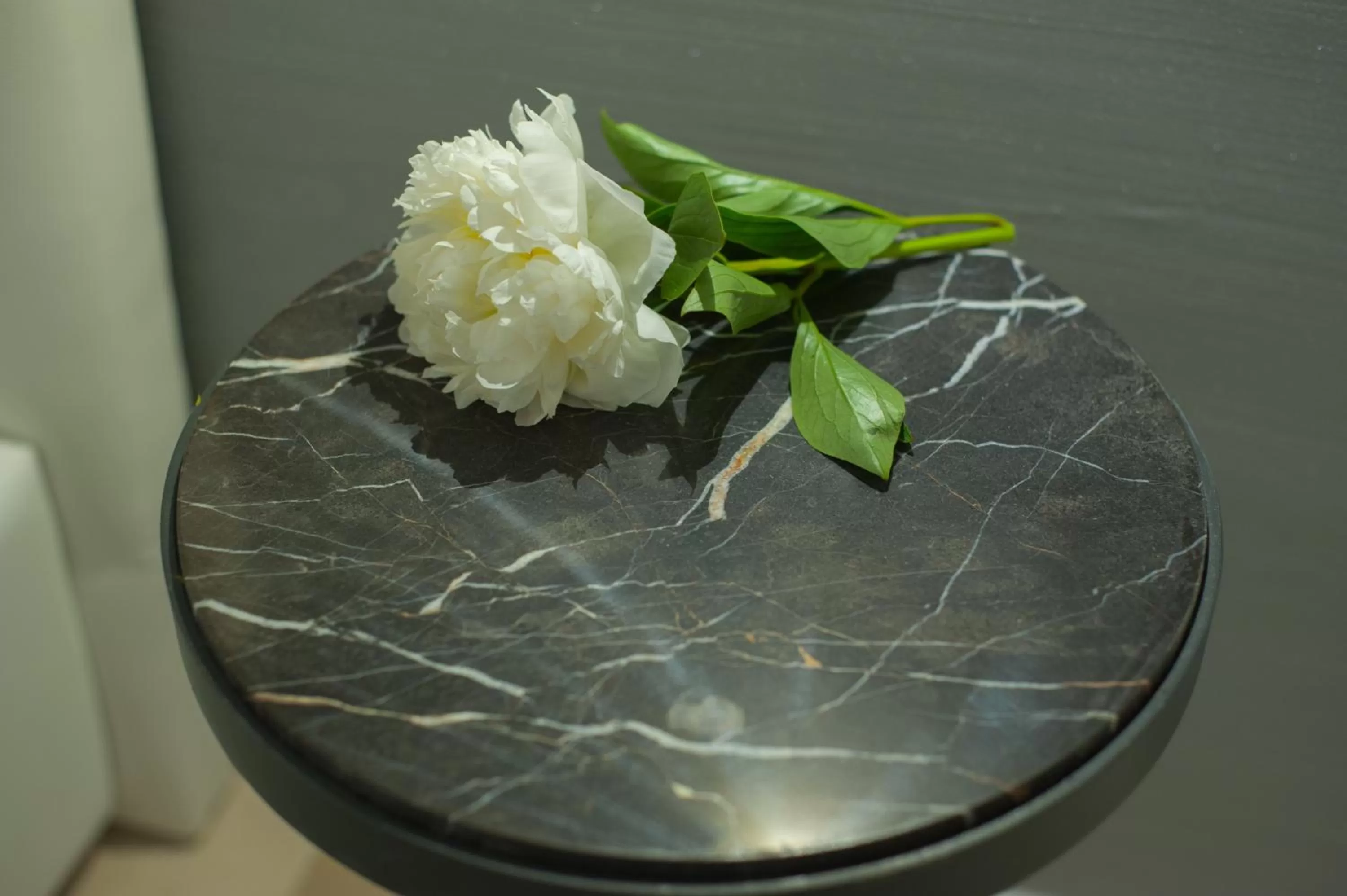 Decorative detail in Tabula Maris B&B