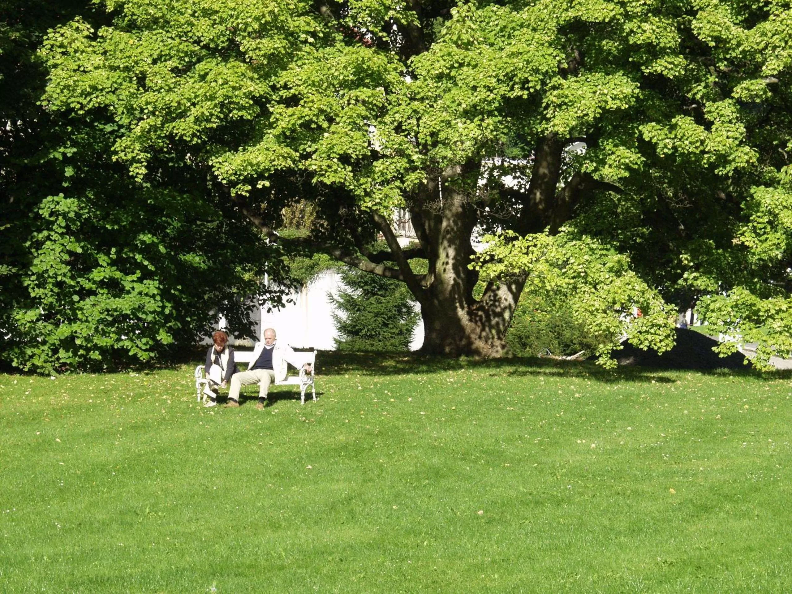 Natural landscape, Garden in Apartma La Provence