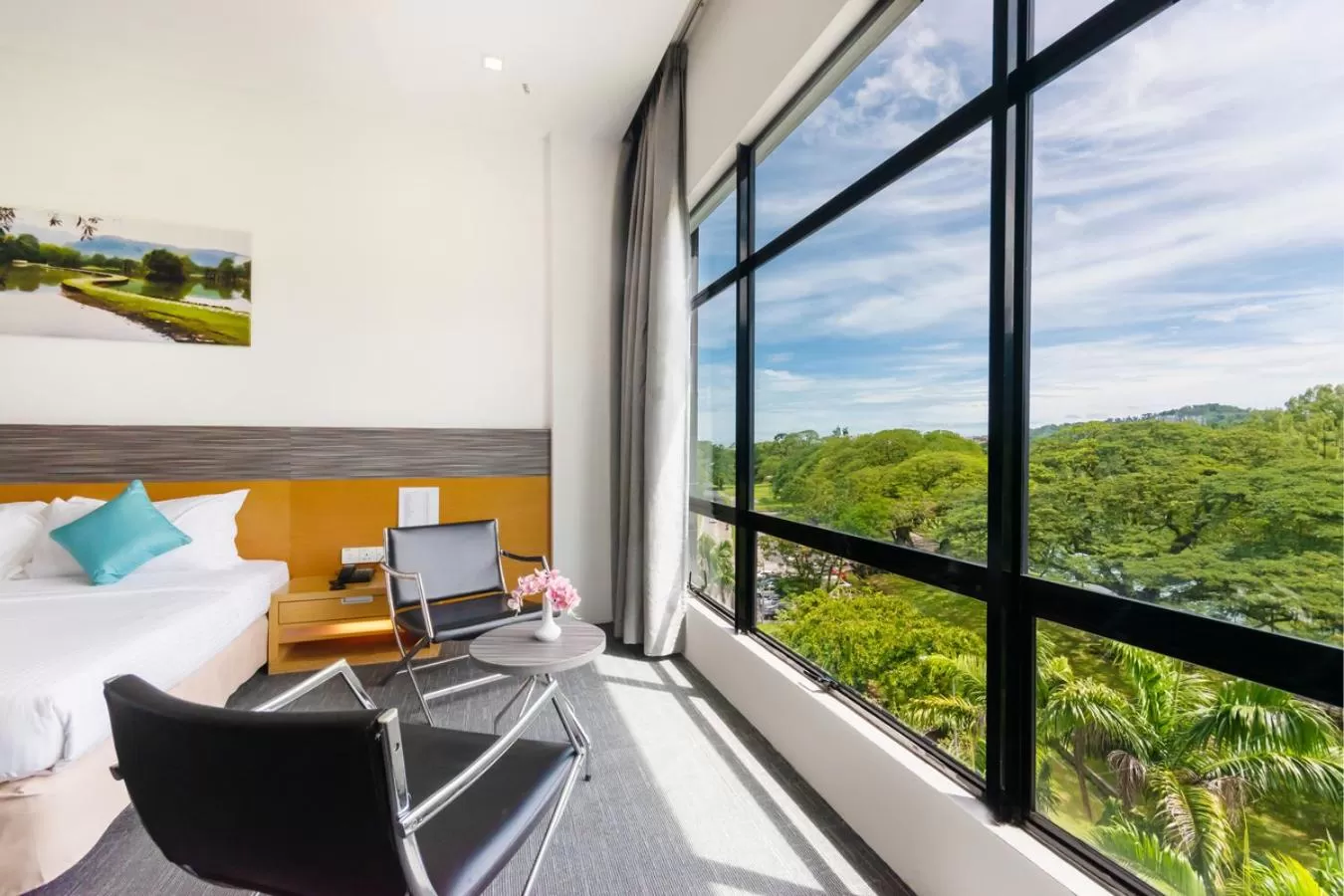 Garden view in Flemington Hotel