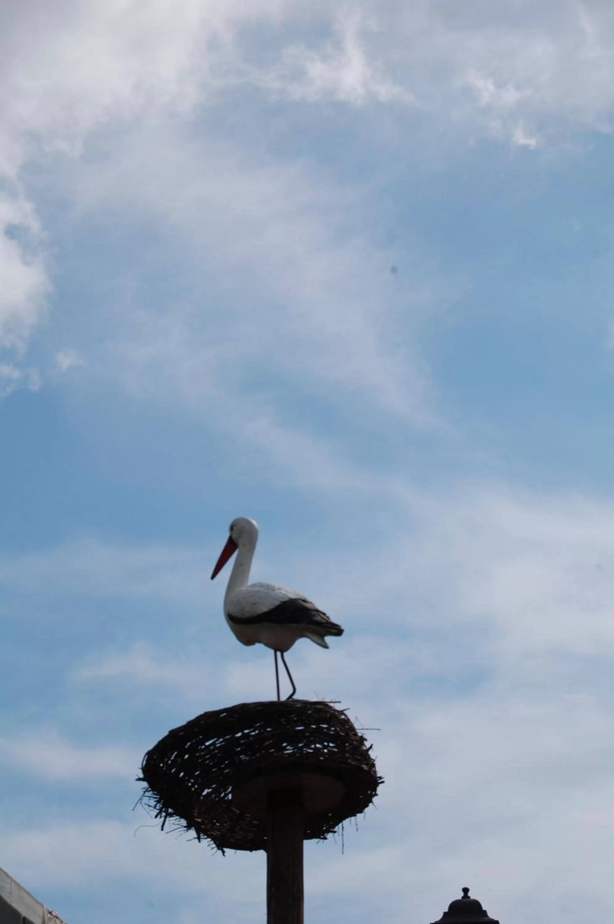 Logo/Certificate/Sign, Other Animals in La Cicogna