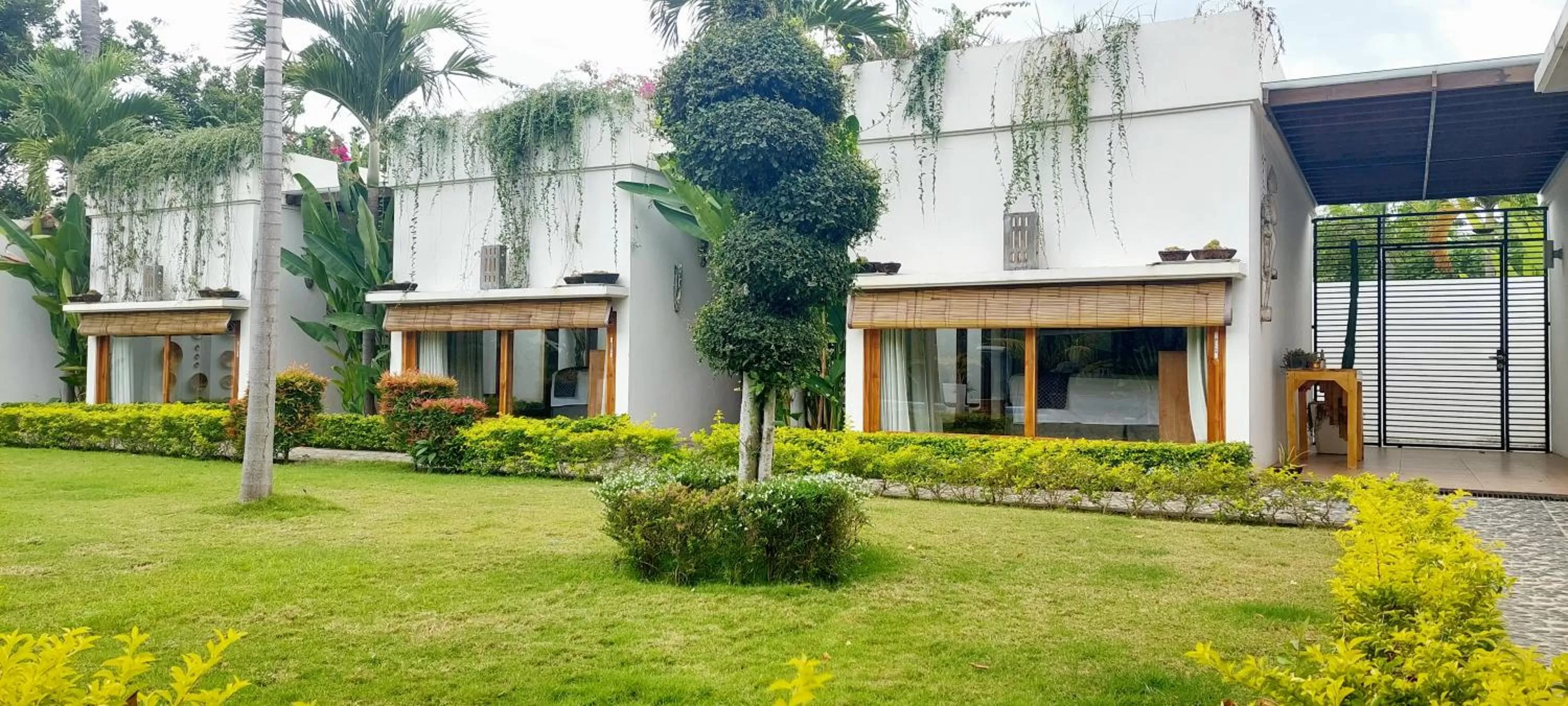 Property Building in The Edicha