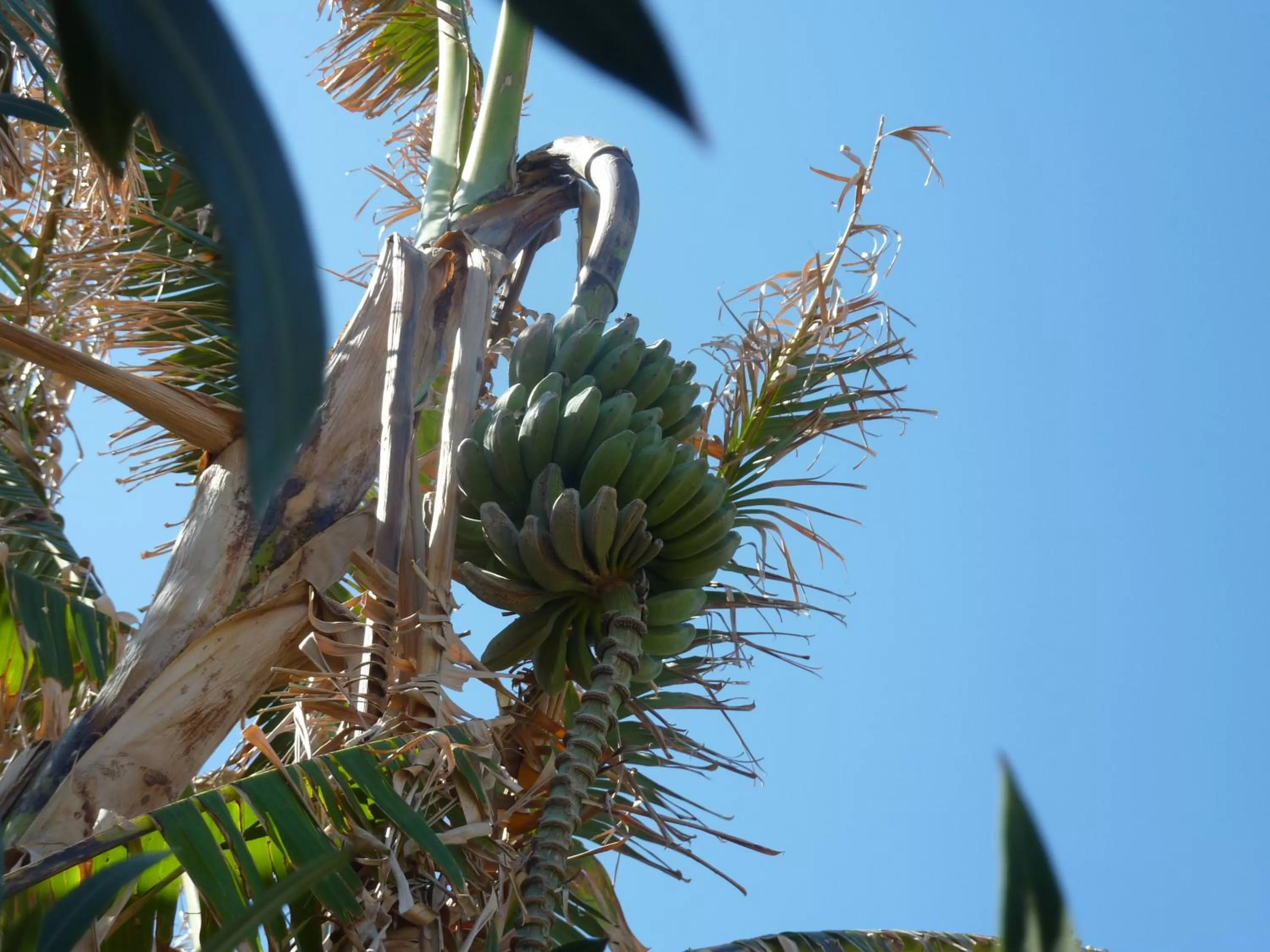 Other in Aphrodite Beach Hotel