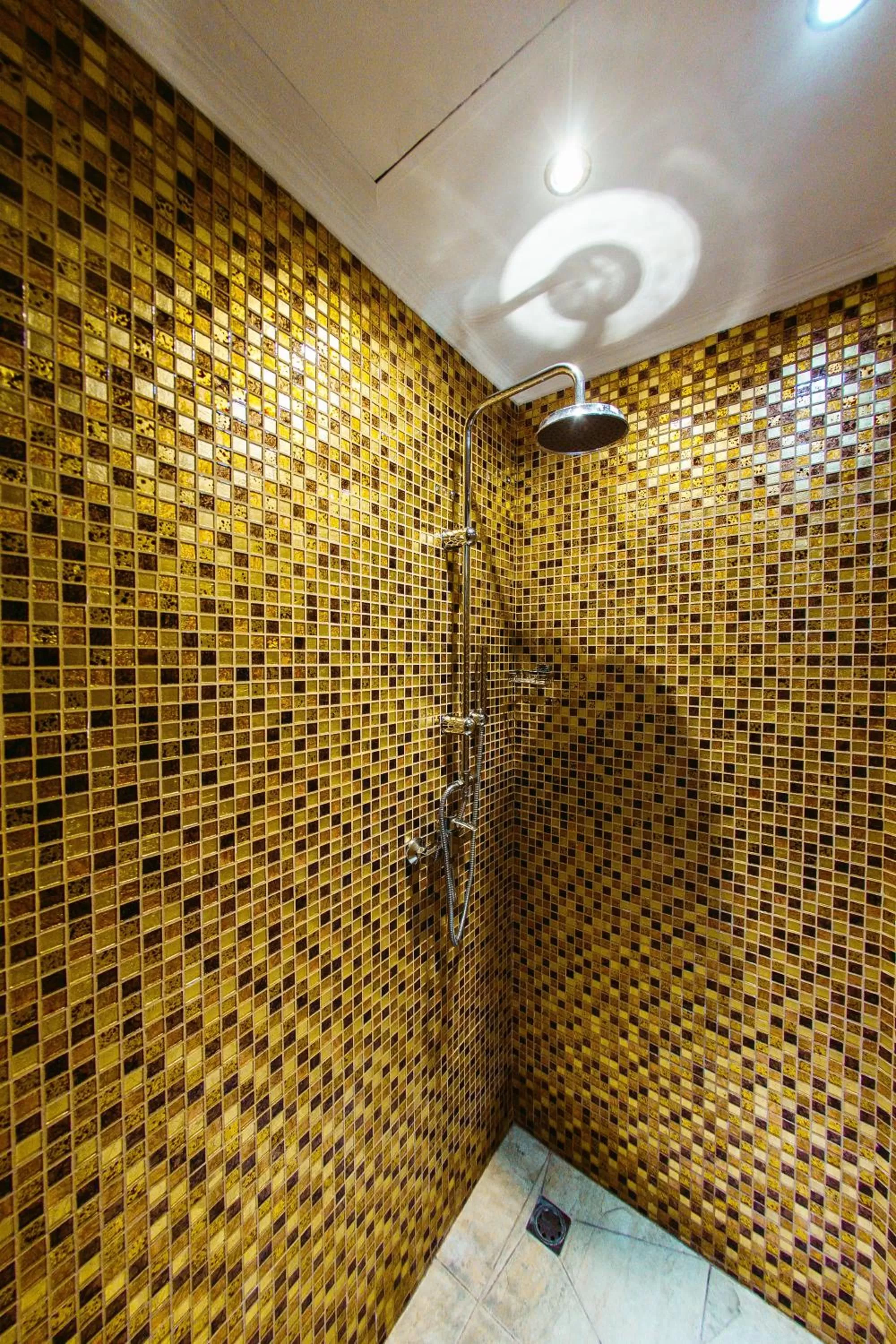 Shower in Spa Hotel Grace Forum