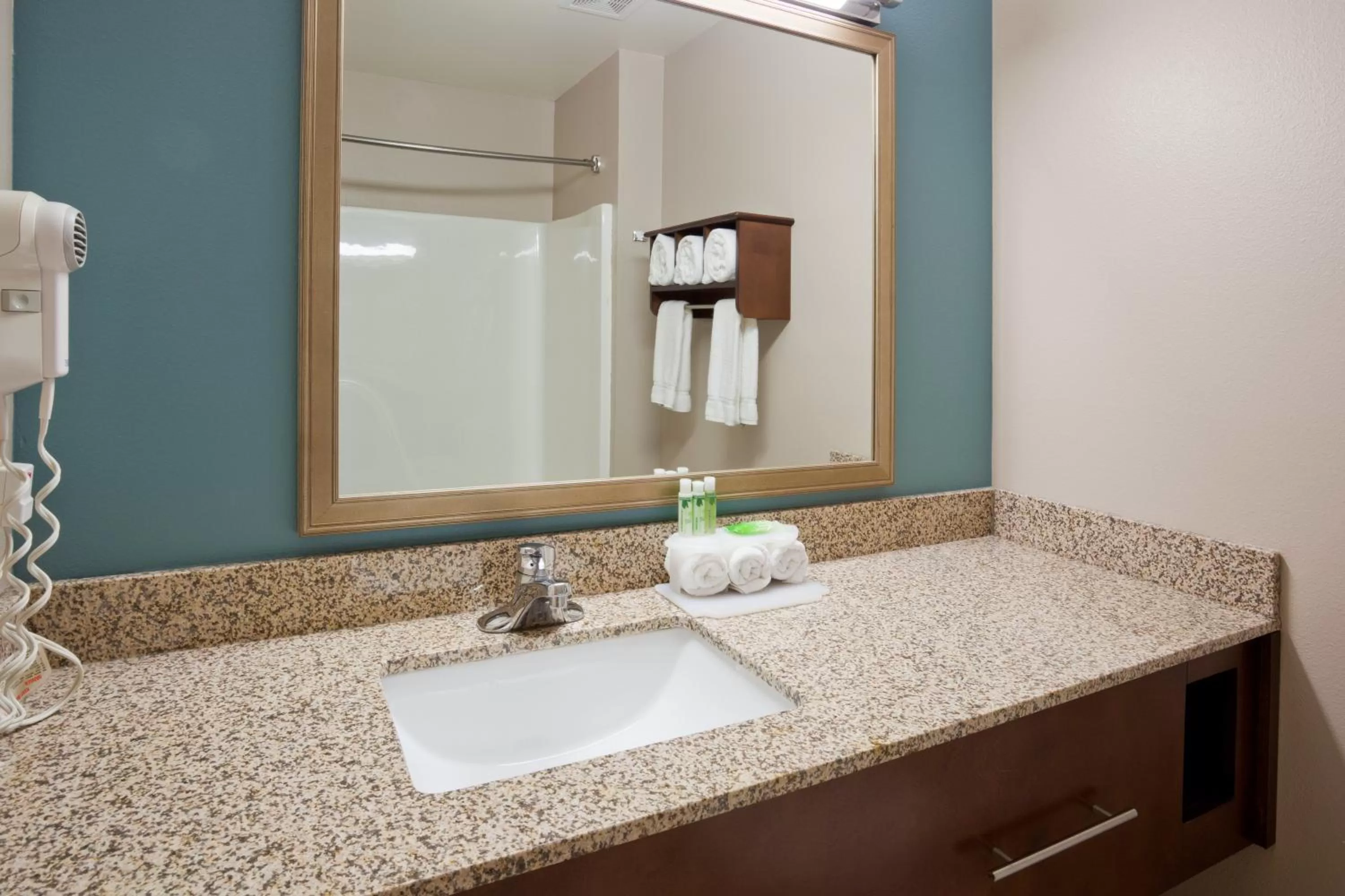 Bathroom in Holiday Inn Express and Suites St. Cloud by IHG