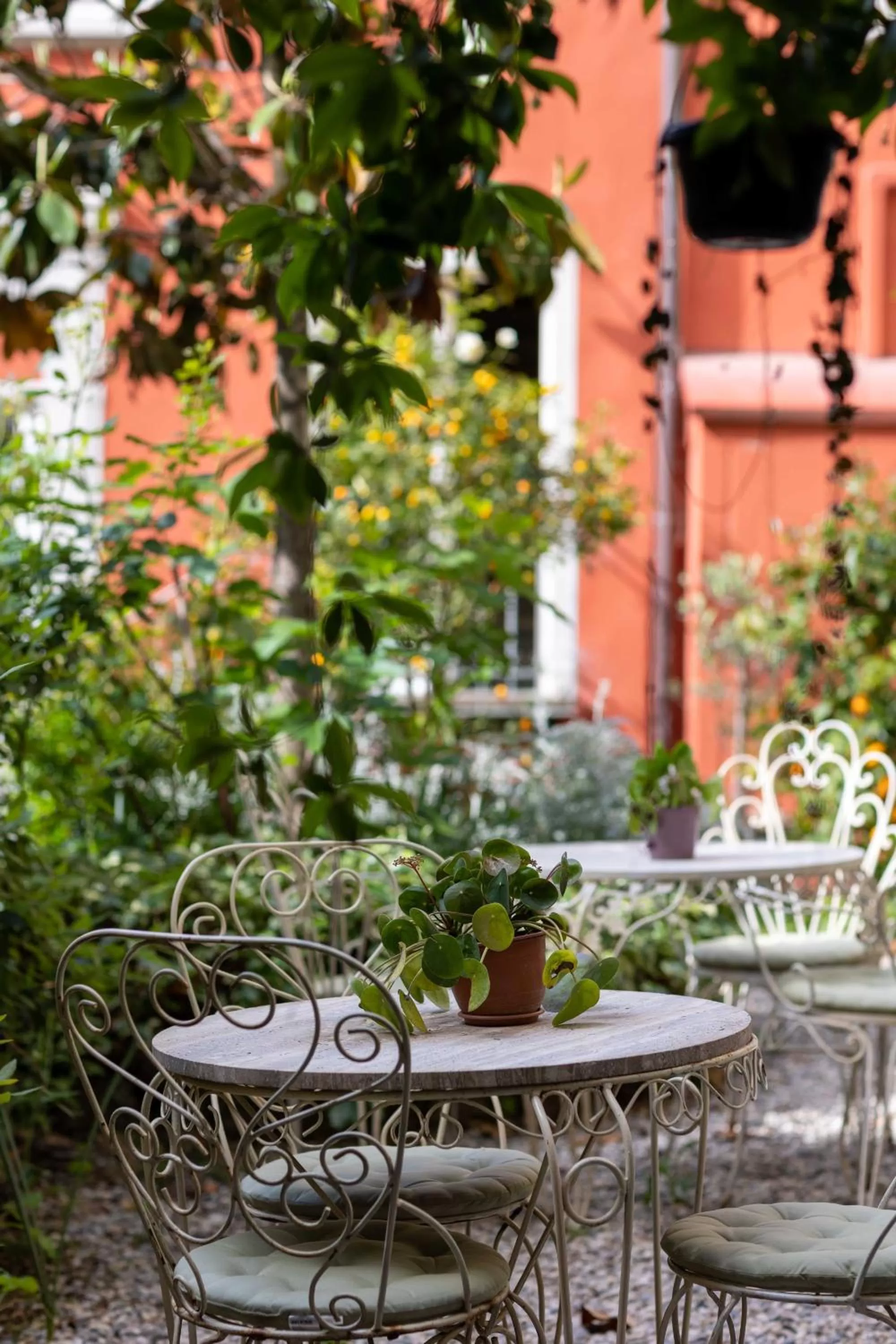 Garden in Secret Garden Firenze B&B