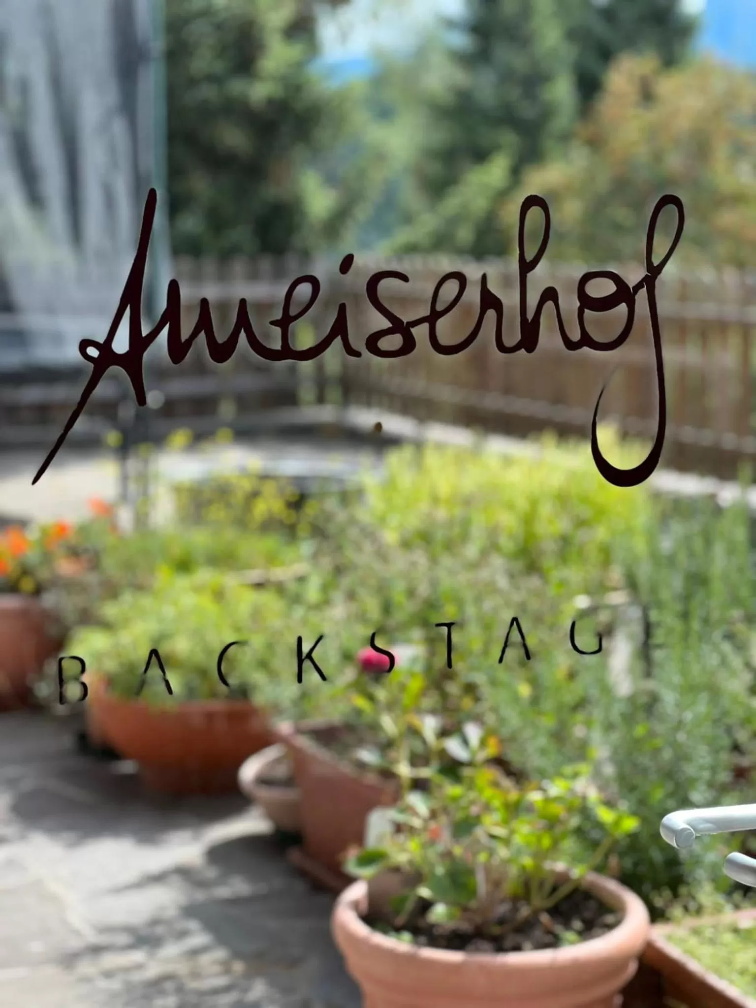 Ameiserhof Guesthouse