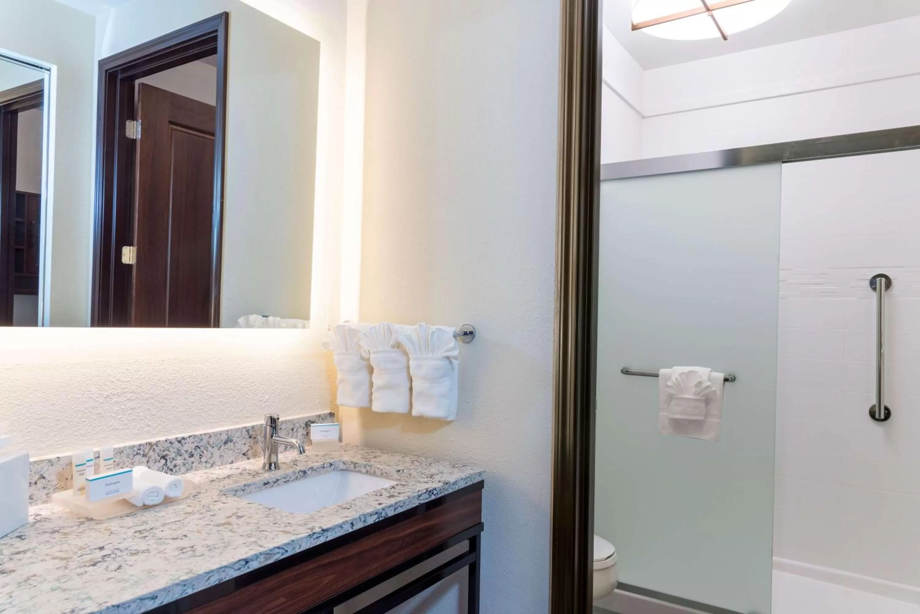 Bathroom in Homewood Suites by Hilton Indianapolis Downtown