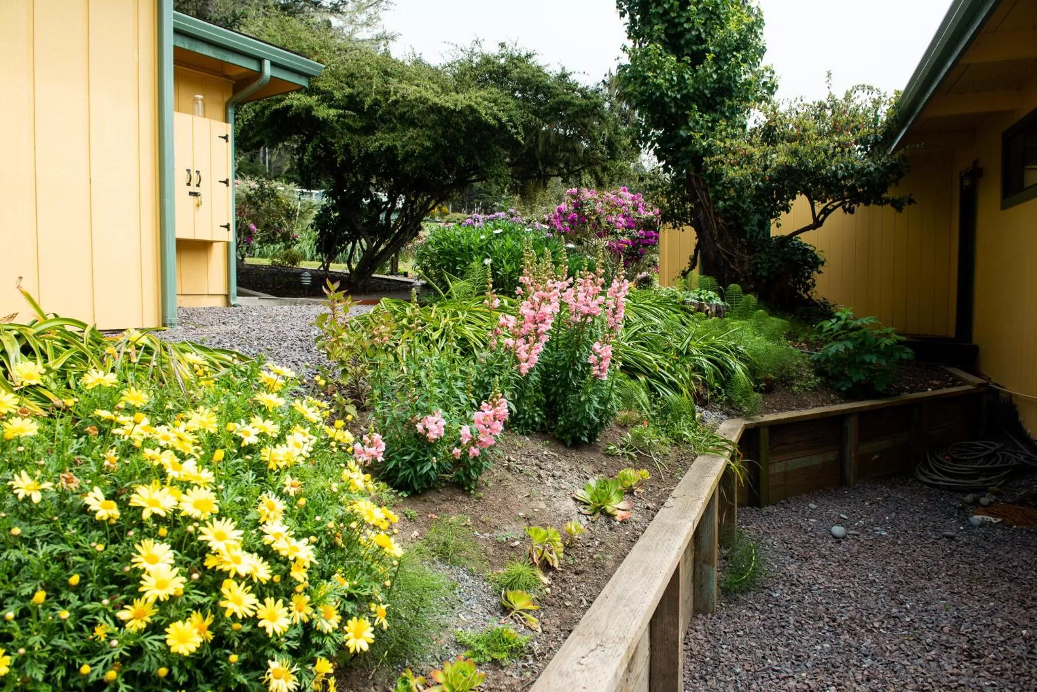 Inn at Buckhorn Cove