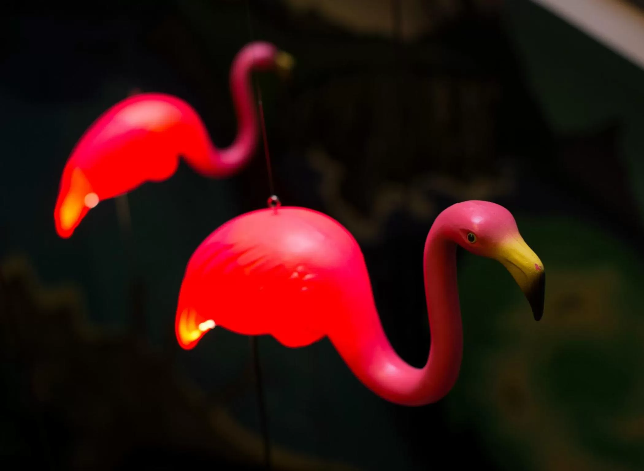 Decorative detail in Alabama Hotel Hobart