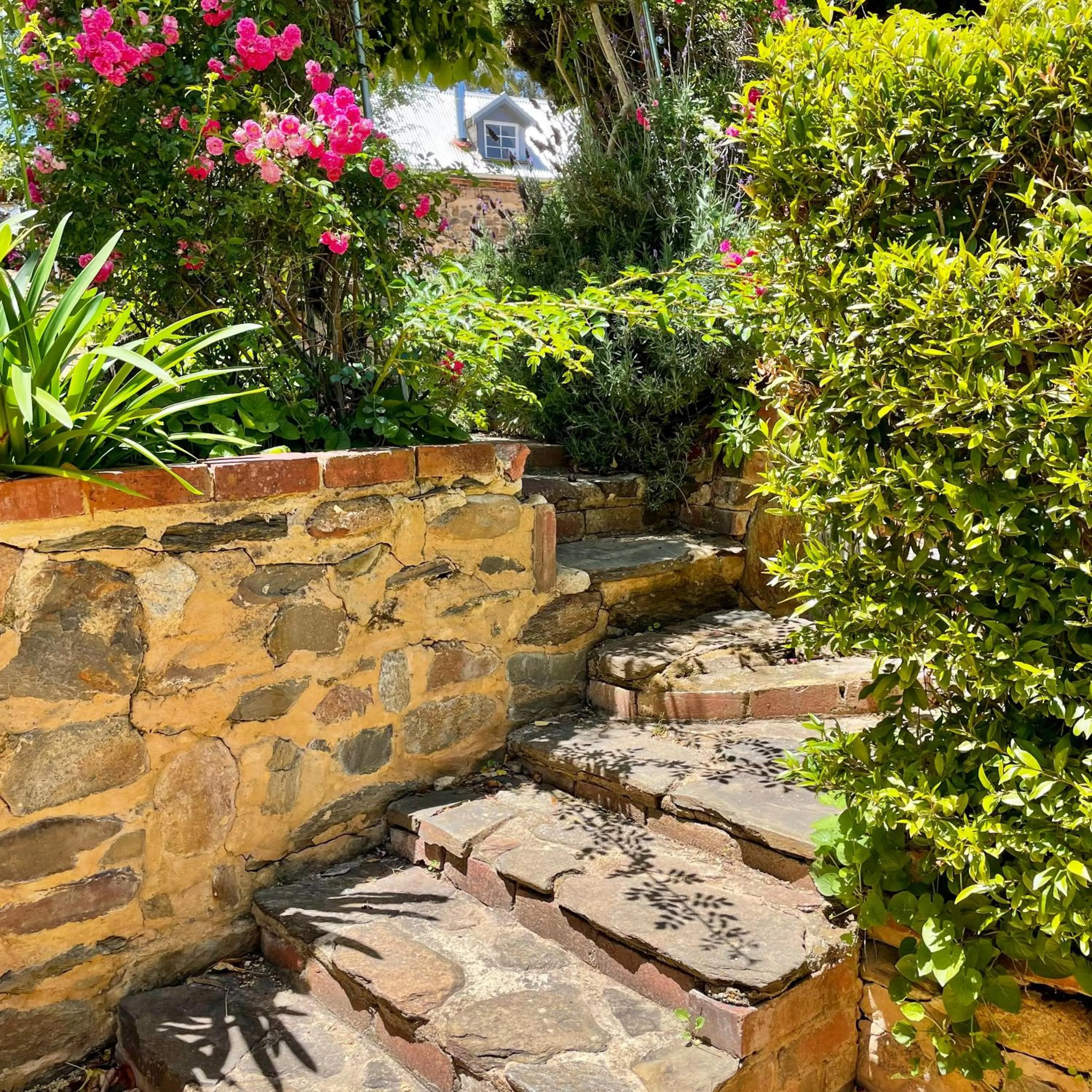 Garden in Jacobs Creek Retreat - Barossa Valley
