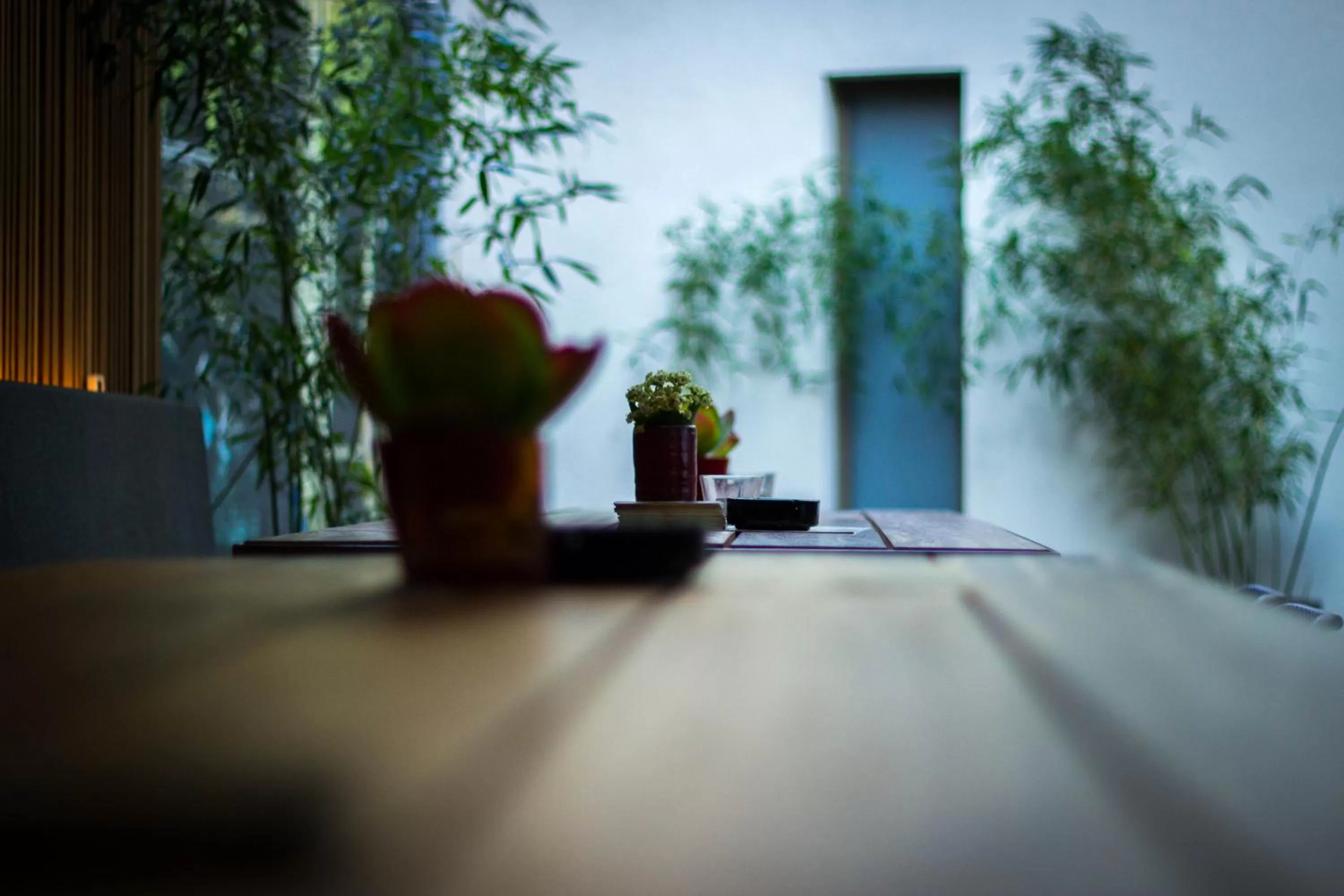 Patio in Hotel Marcel