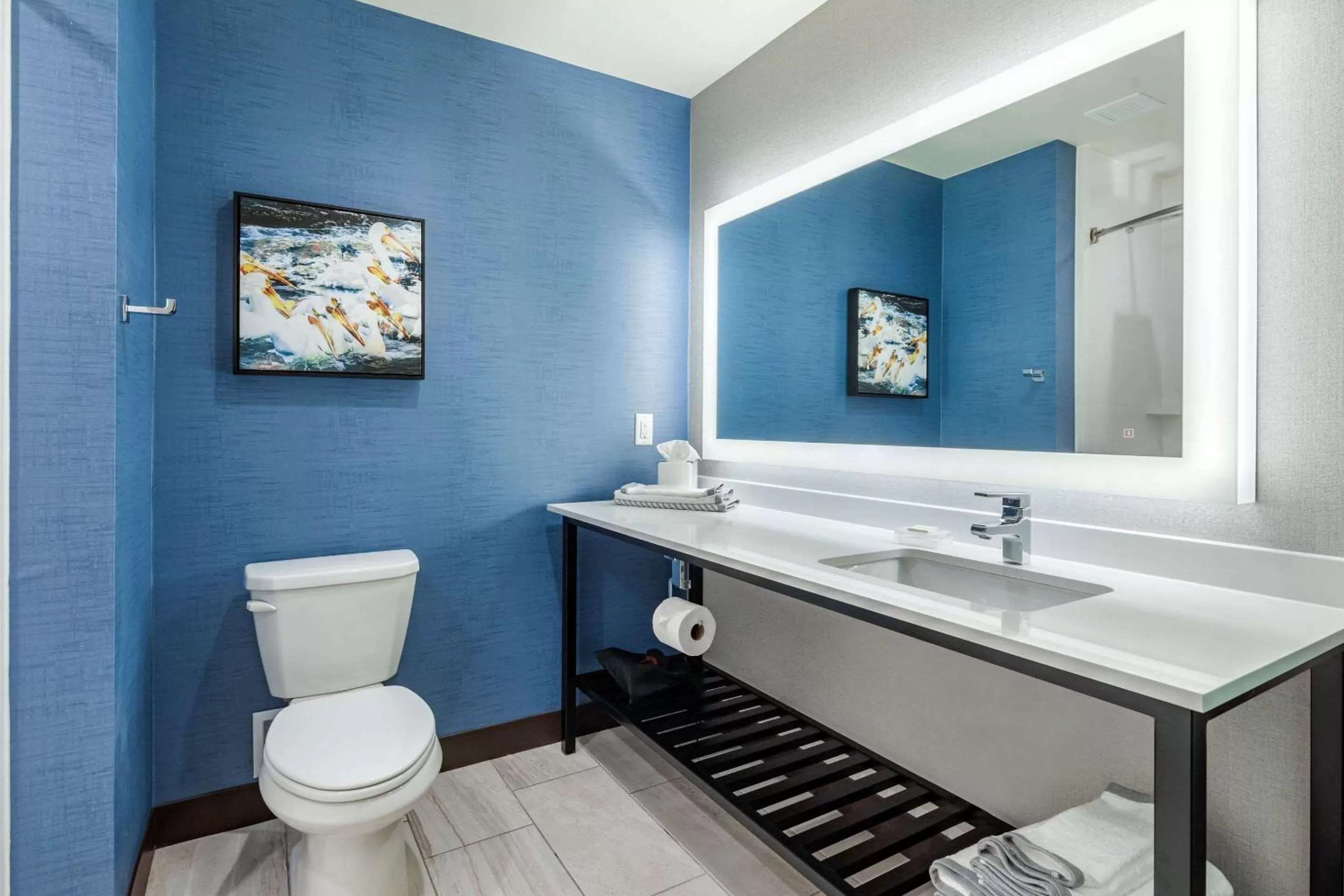 Bathroom in Cambria Hotel Davenport Quad Cities