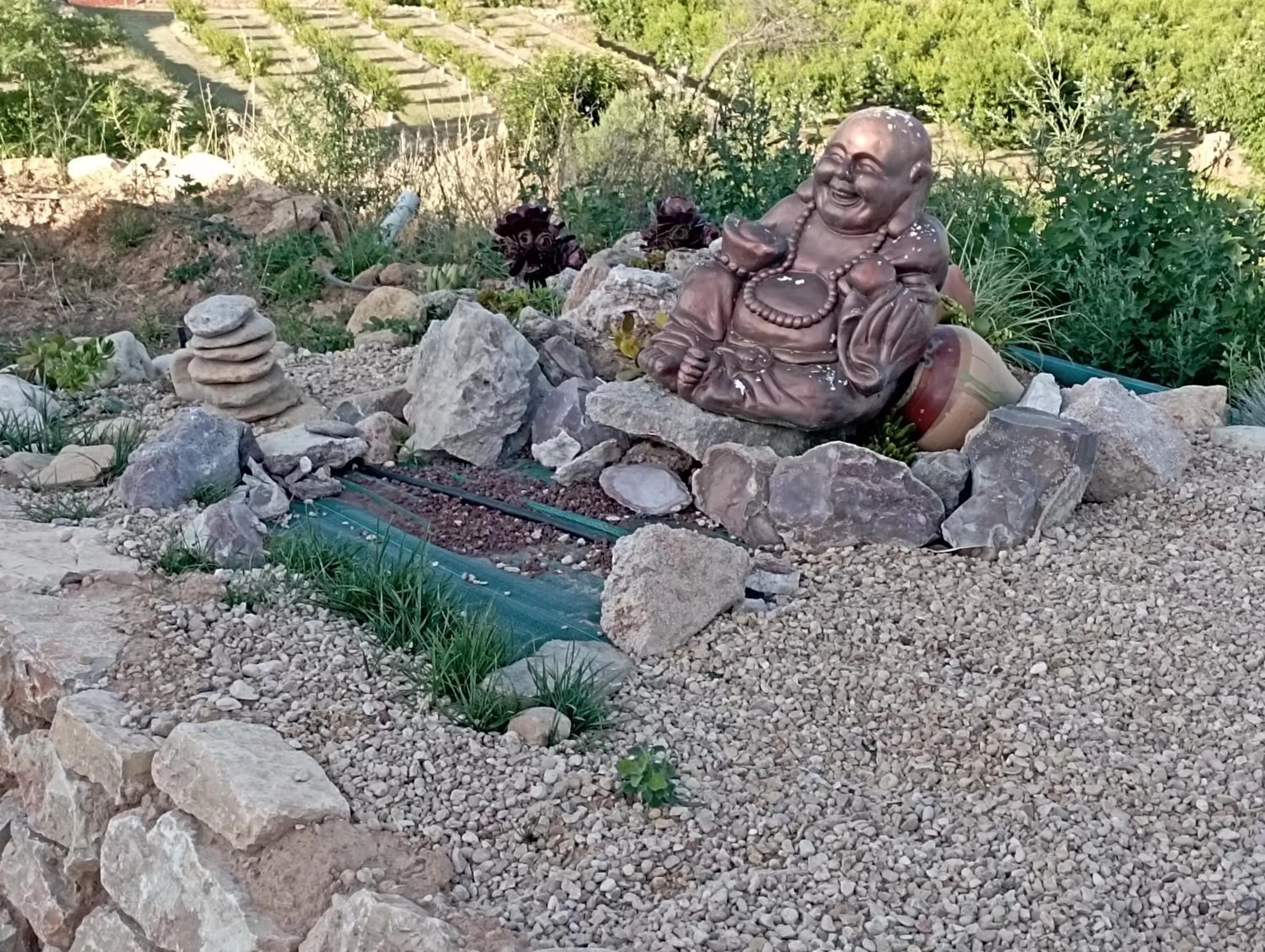 Garden in Cabezo Buñuel Hostal